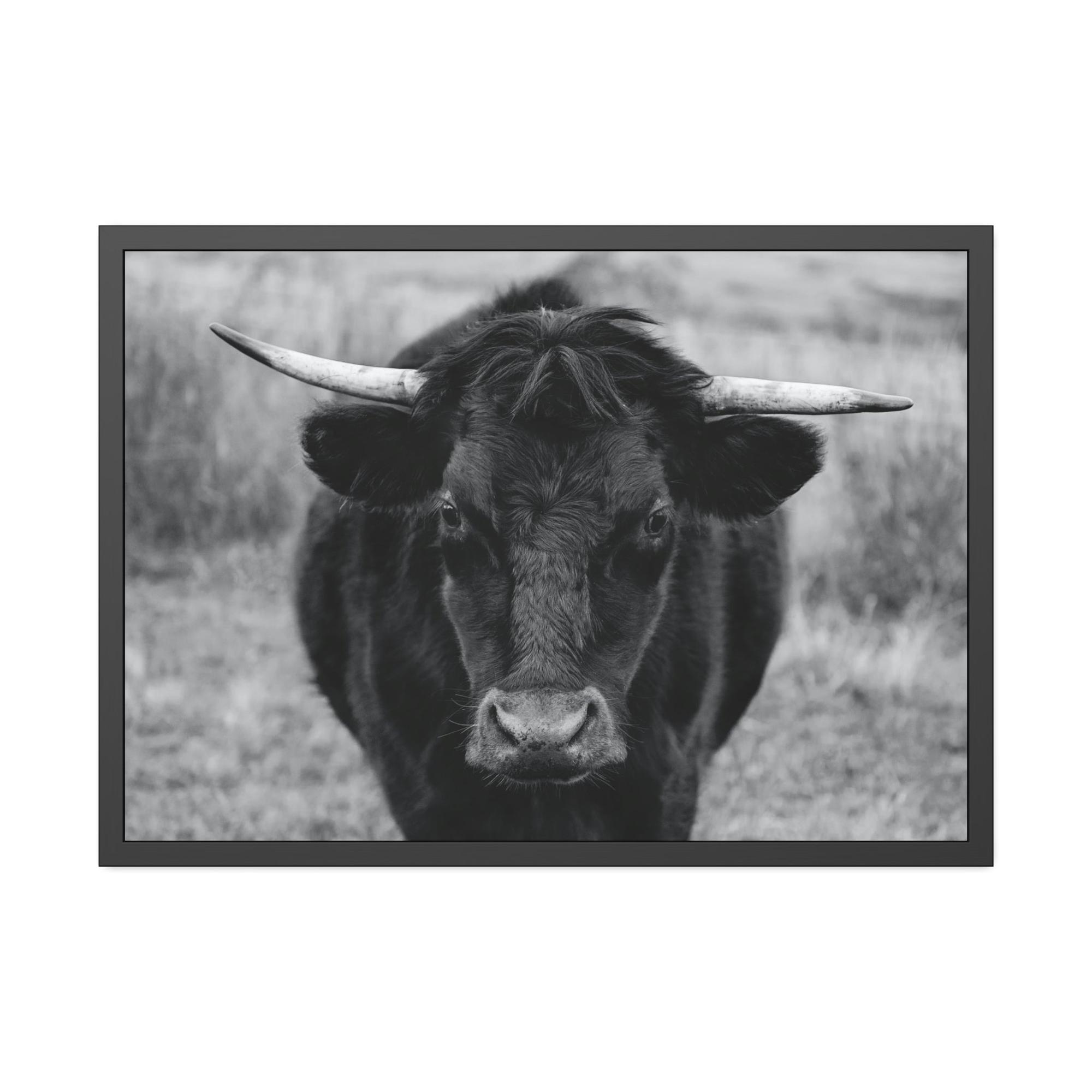 Highland Cow Highland Cattle Retriever - Printed Canvas - Wall Art - Cattle Wall Art | Animals Art