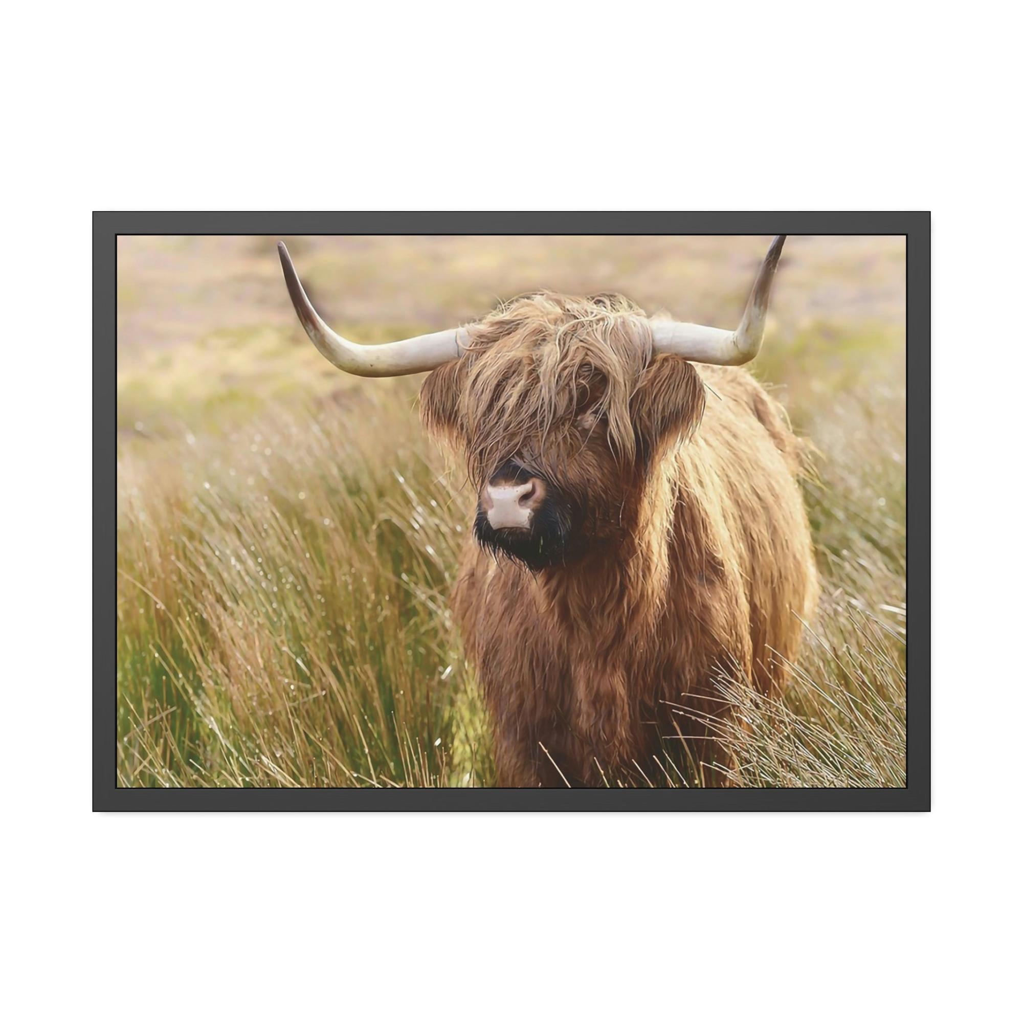 Highland Cow Highland Cow | Cow in the Morning Dew | Wall Art — Pixoram