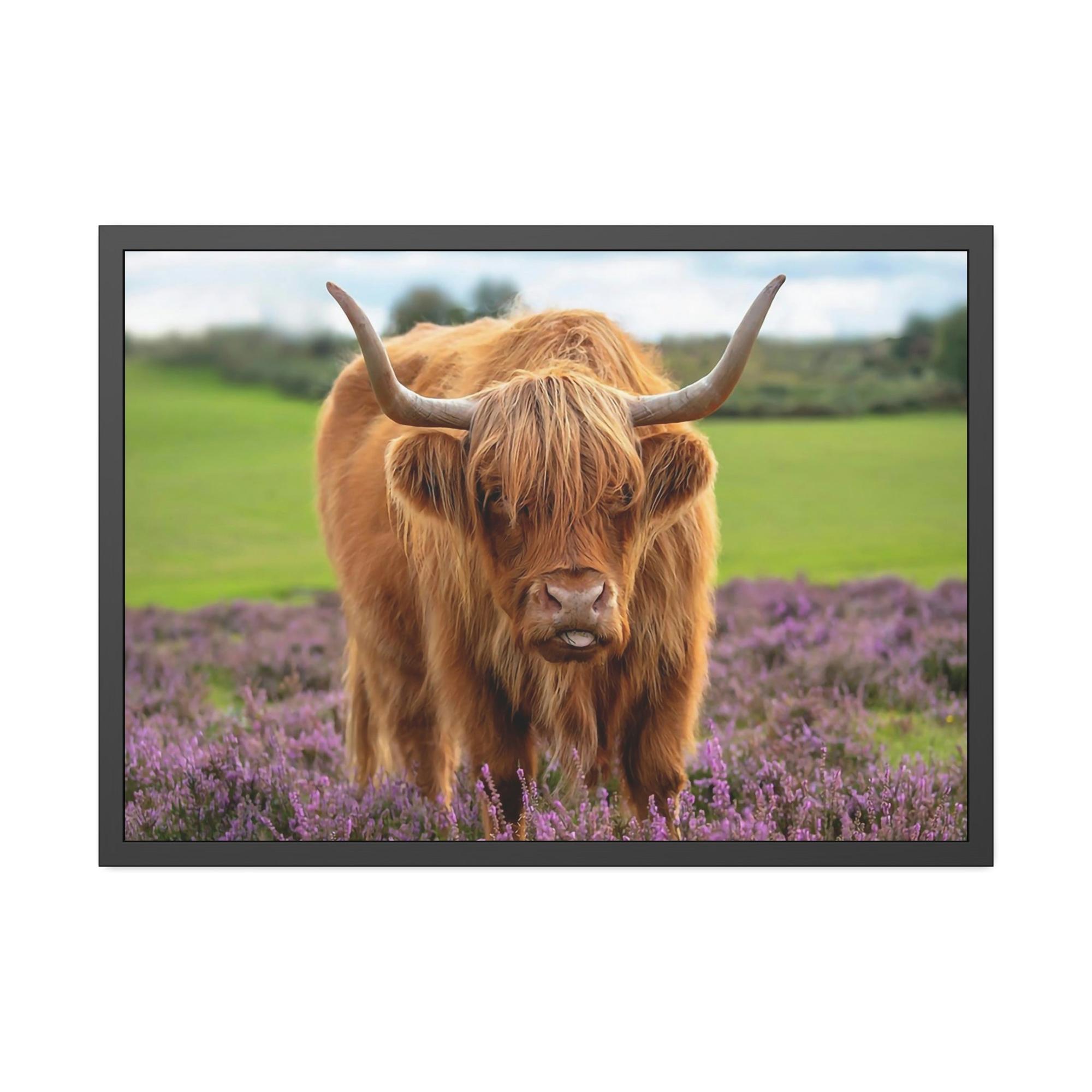 Highland Cow Highland Cow | Brown Cow in the Flowering Field | Canvas Art — Pixoram