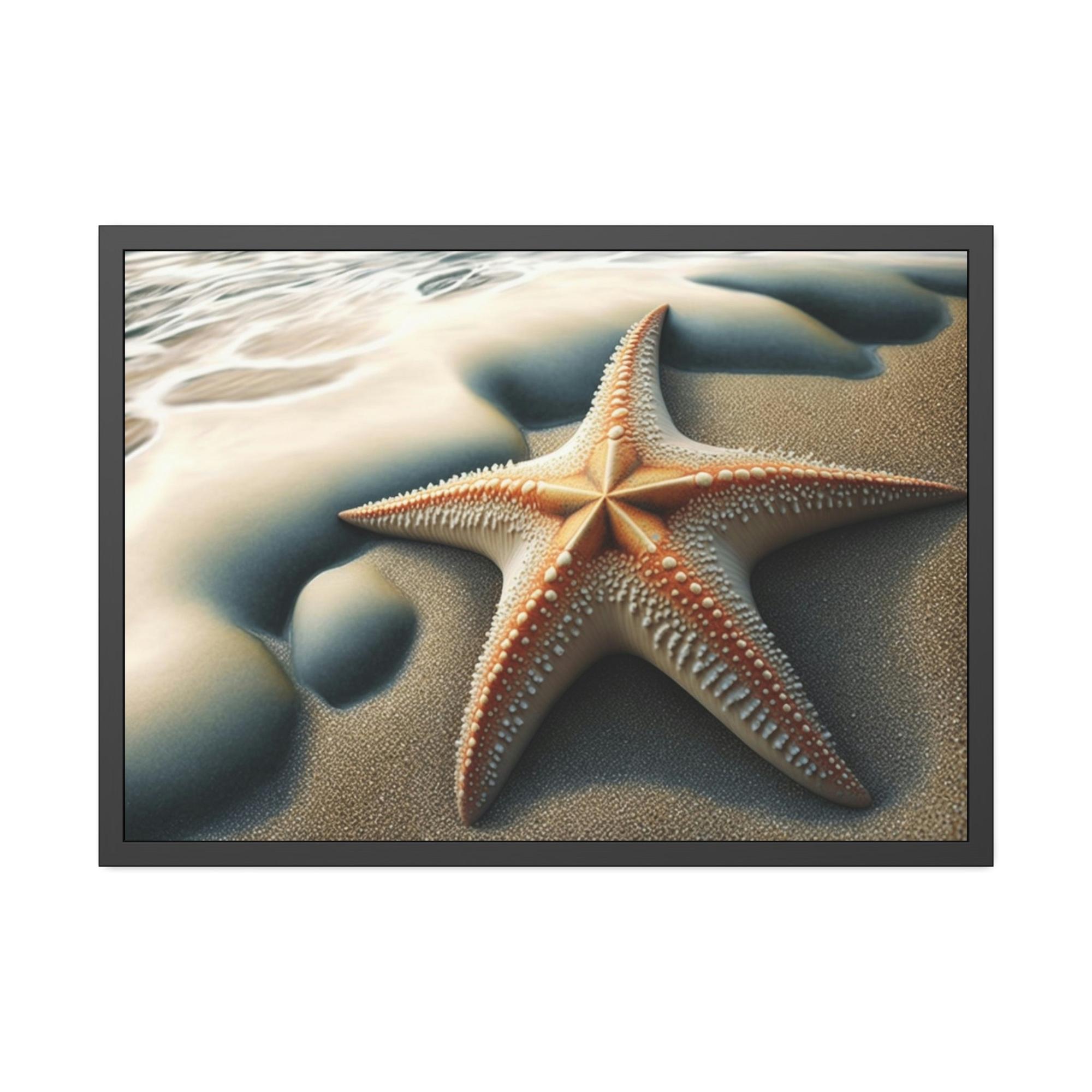 Starfishs Coral Kingdom: Starfish Edition
