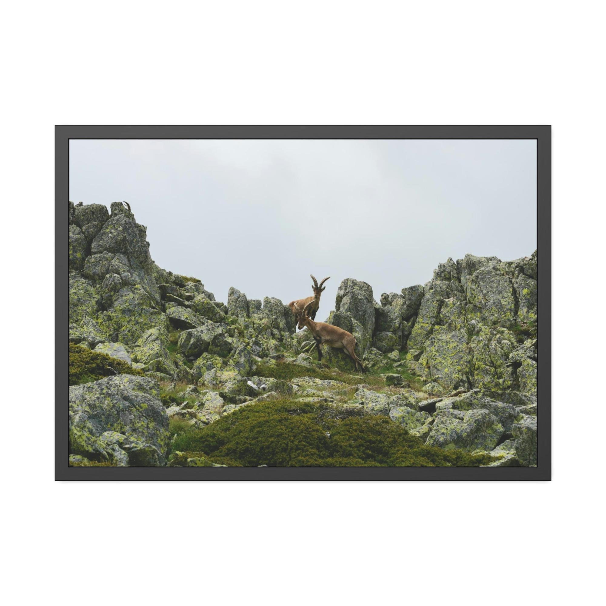 National Parks Natural Beauty: National Parks Canvas Art