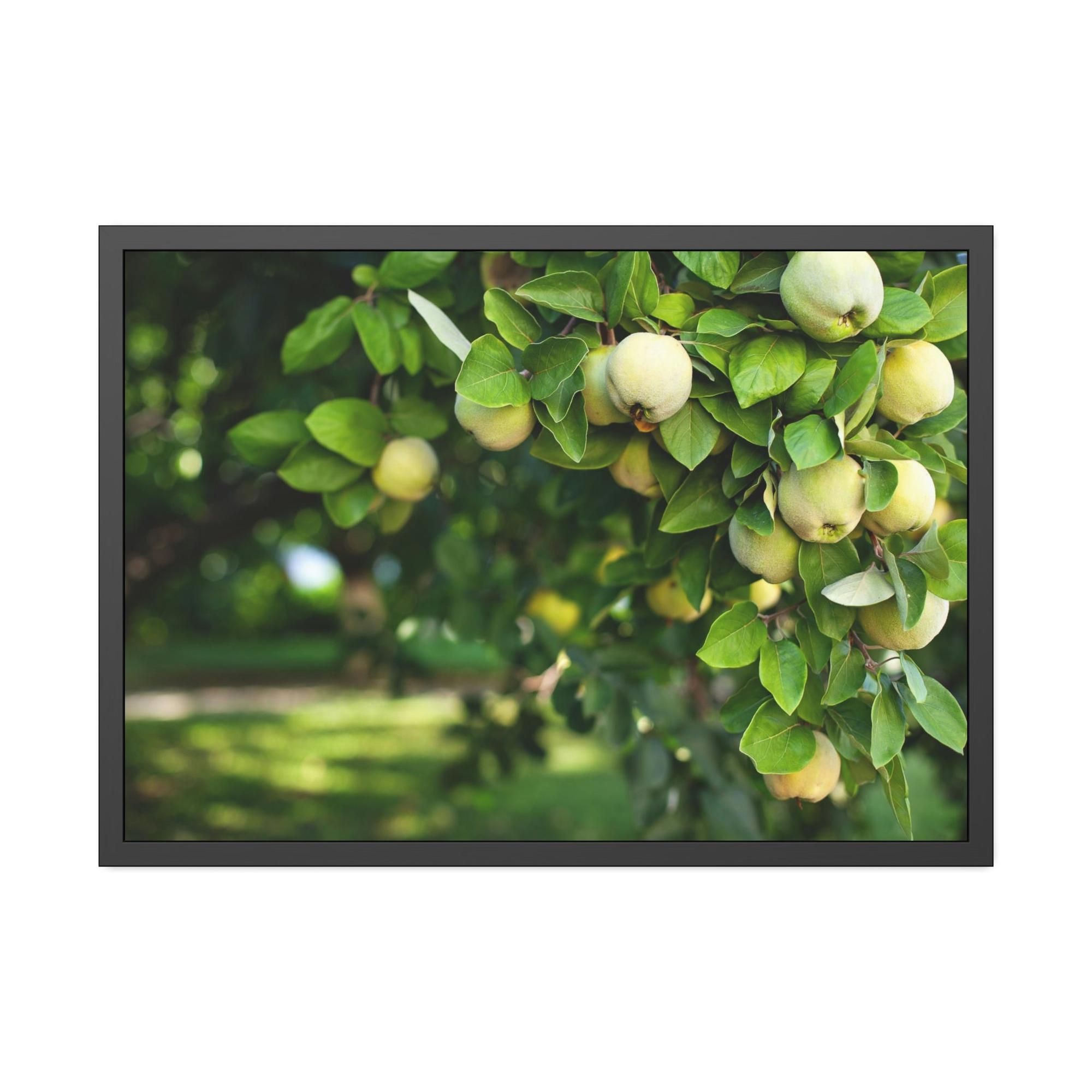 Fruit Trees Harvest Time: Fruit Trees Painting on Canvas