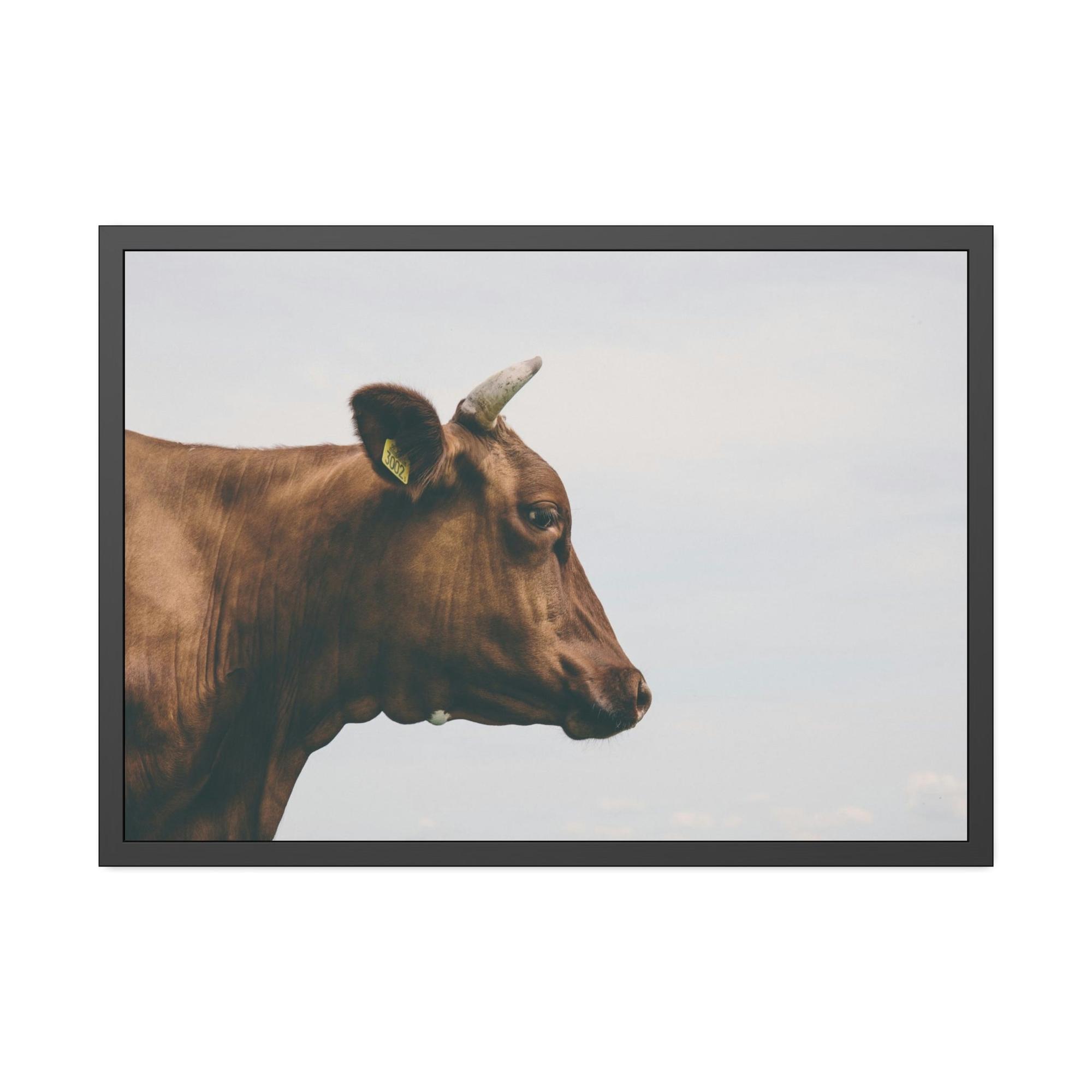Highland Cow Scotch Highland Cattle - Wall Art | Animals Art