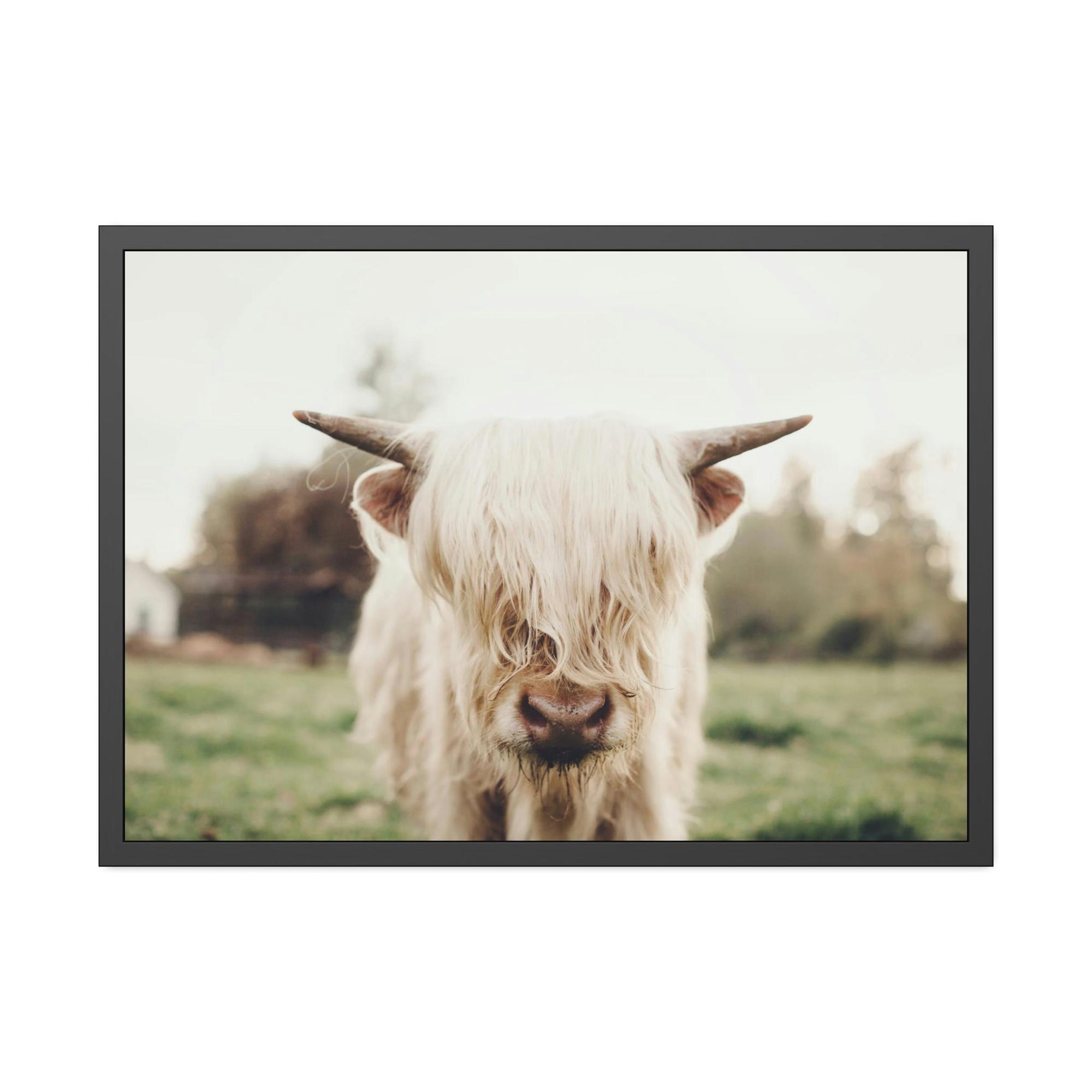 Highland Cow Highland Cow | Milky Color of Cow | Art Canvas — Pixoram