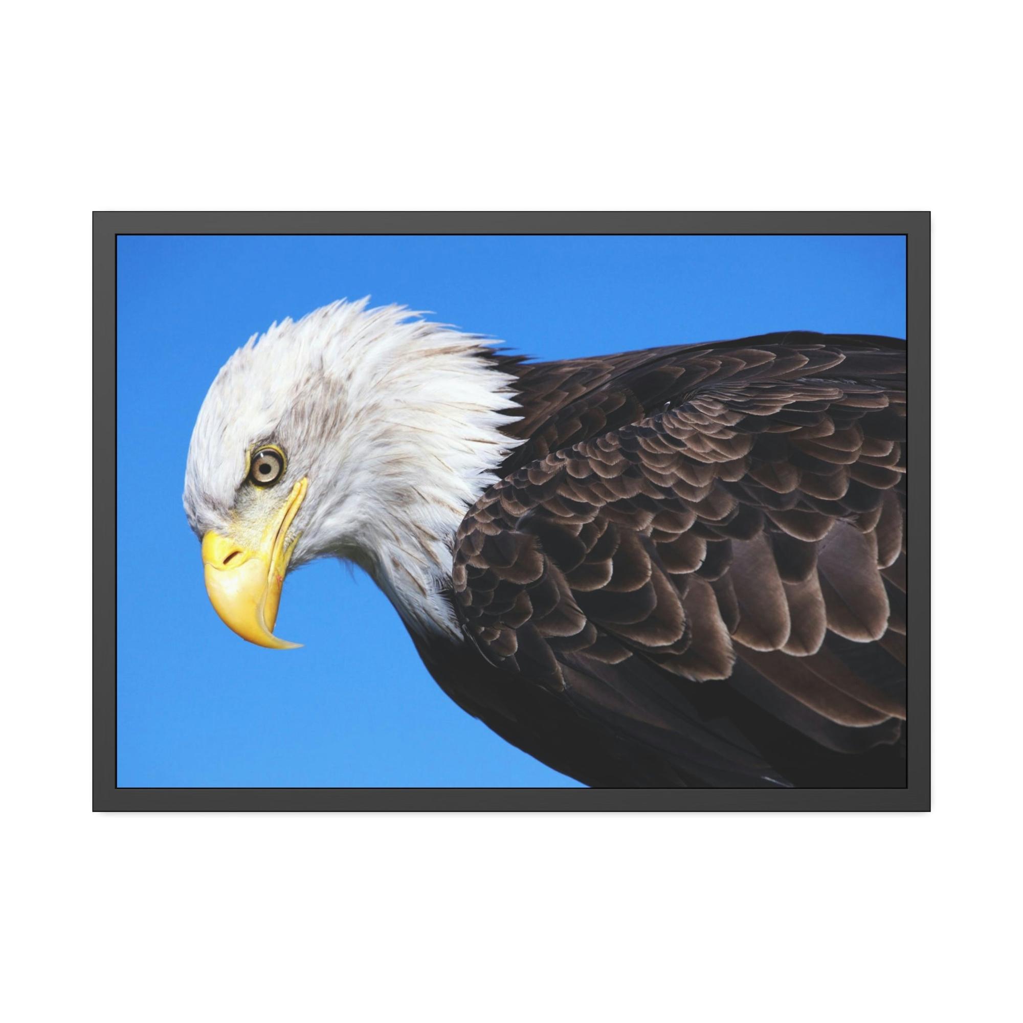 Eagles Eagle's Enchantment: Artistic Canvas Print Conjuring the Magic of their Presence