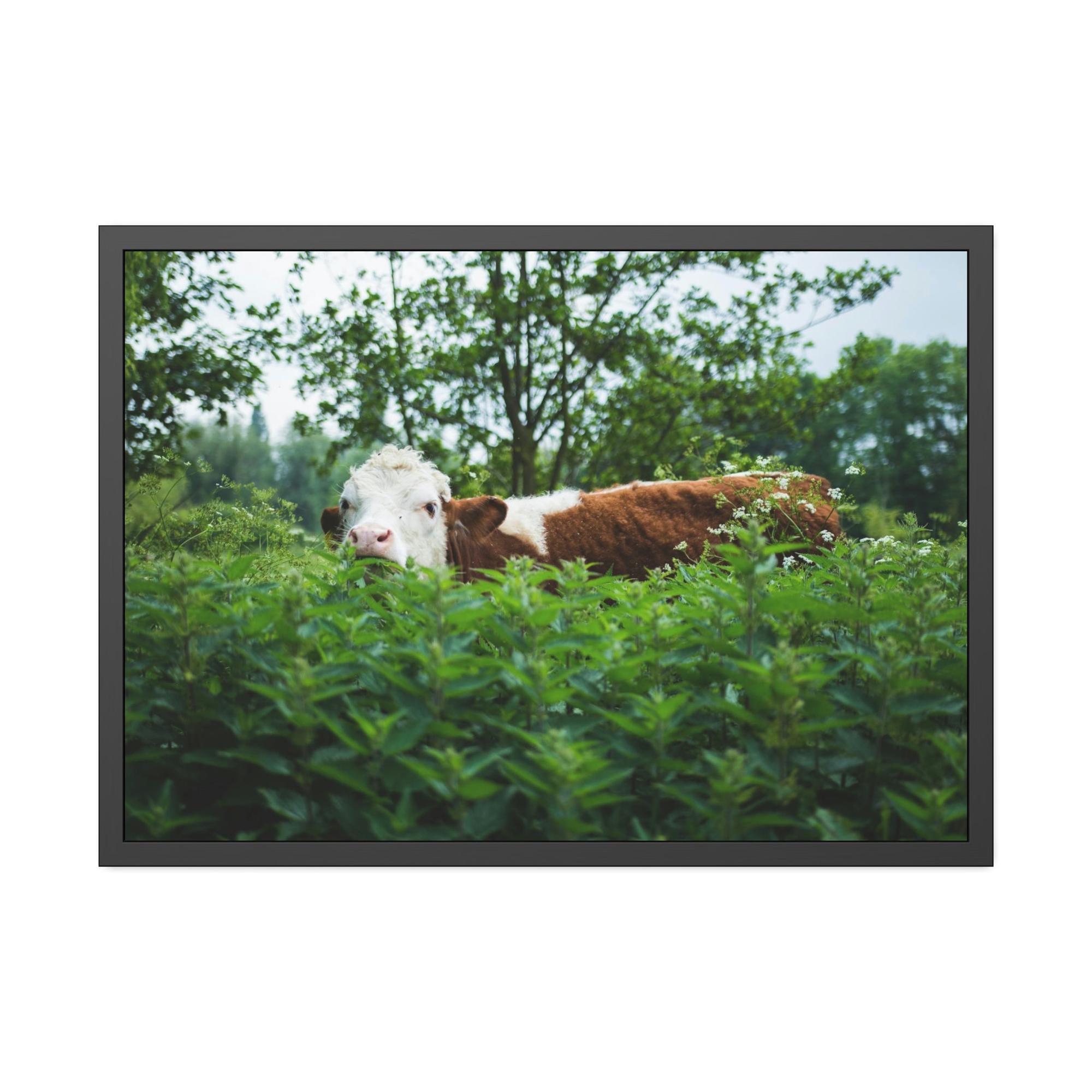 Cows The Art of Cow: Captivating Wall Art on Natural Canvas & Poster