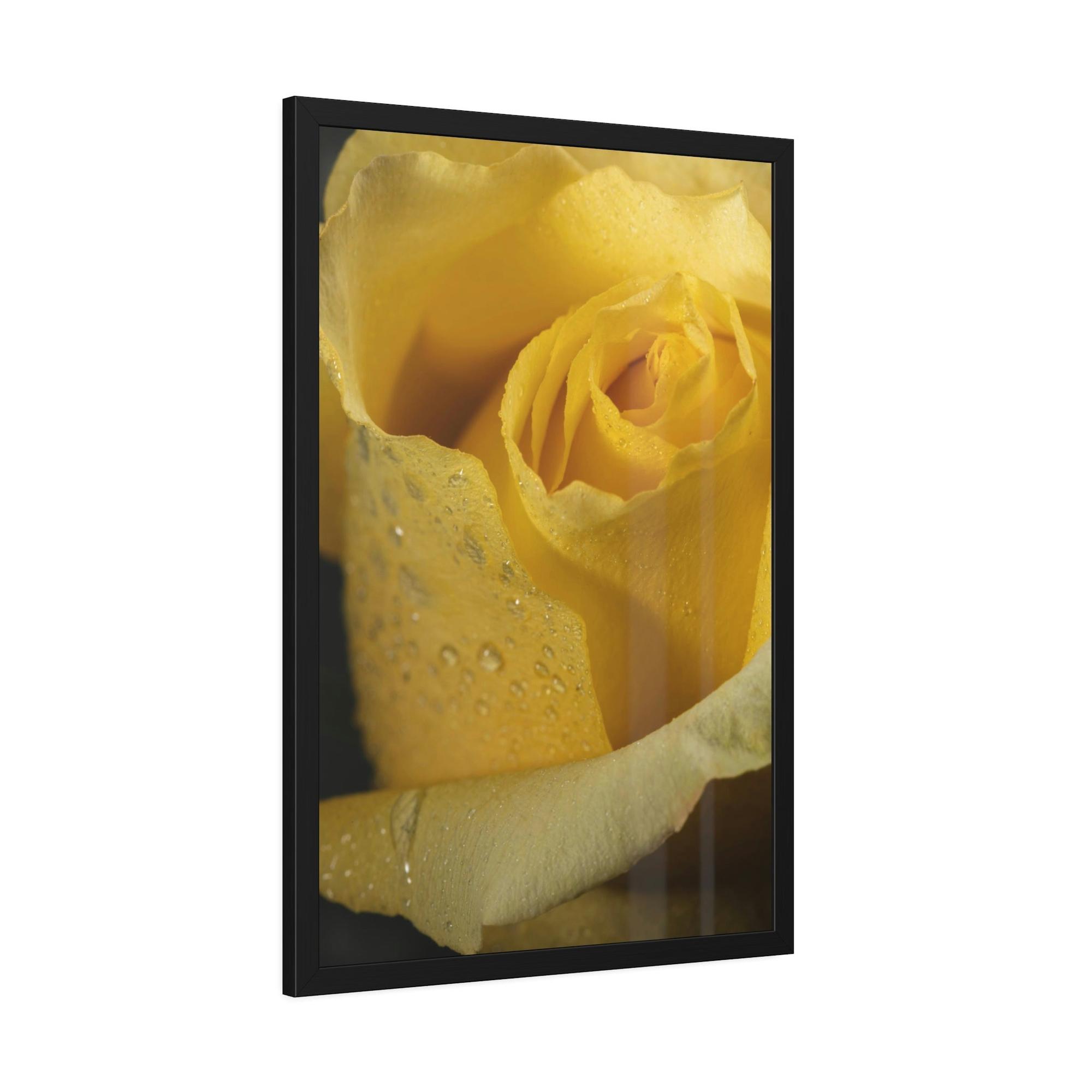 Roses Rose Radiance: A Vibrant and Lively Painting on Canvas