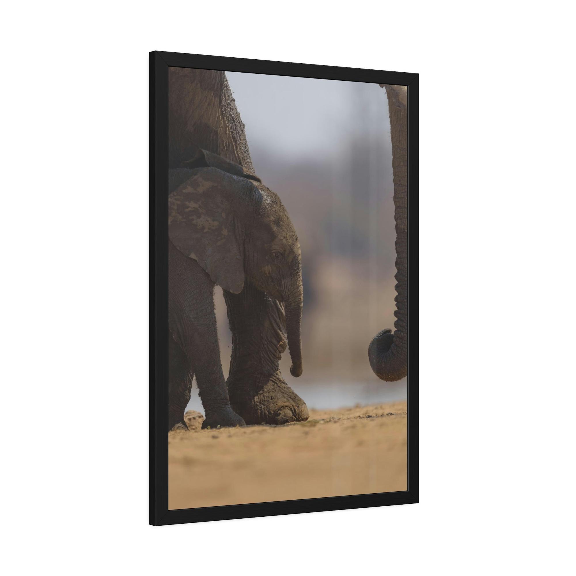 Safari Wildlife Trek: A Journey Through the African Savanna's Most Beautiful Creatures