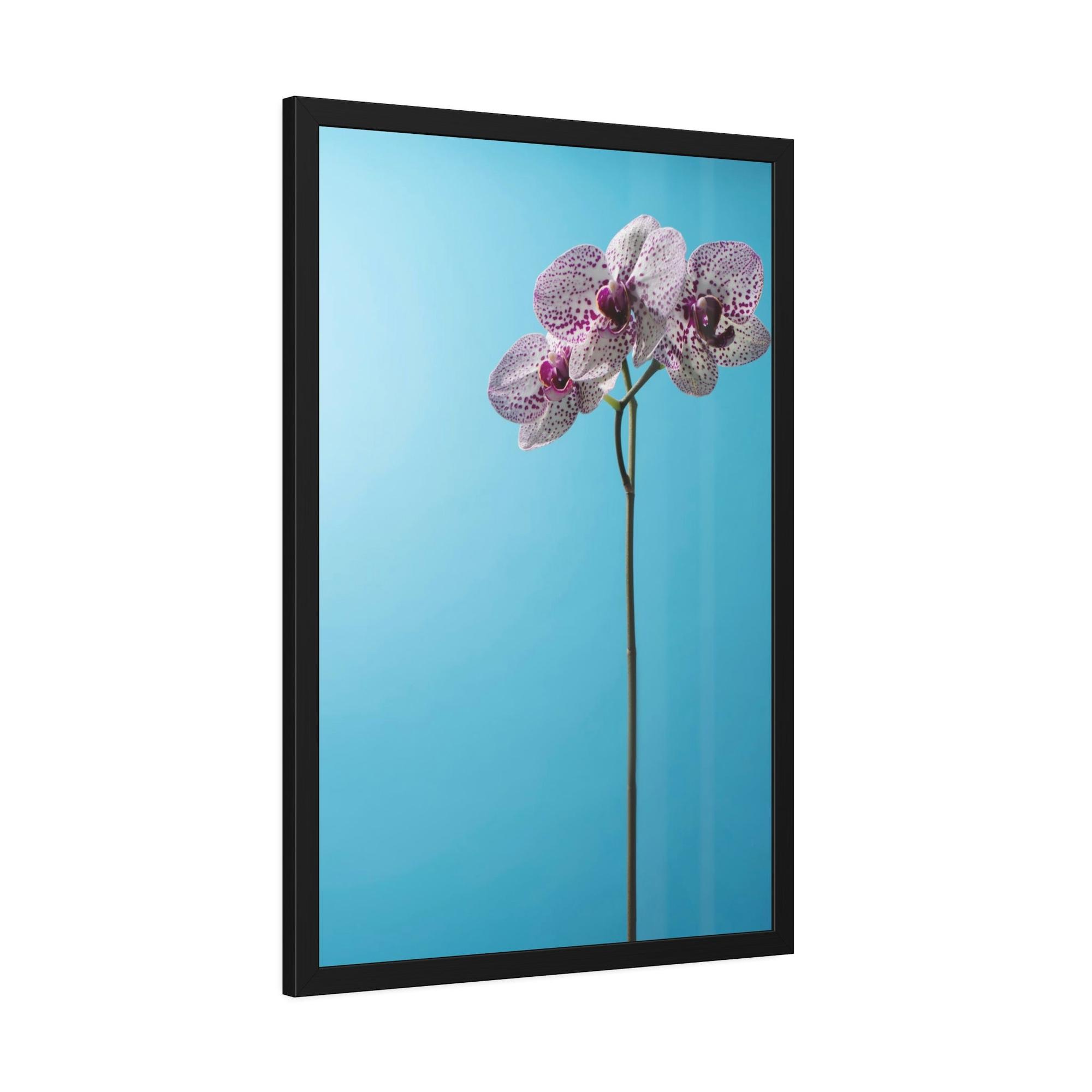Orchids Orchid Elegance: Serenity on Canvas