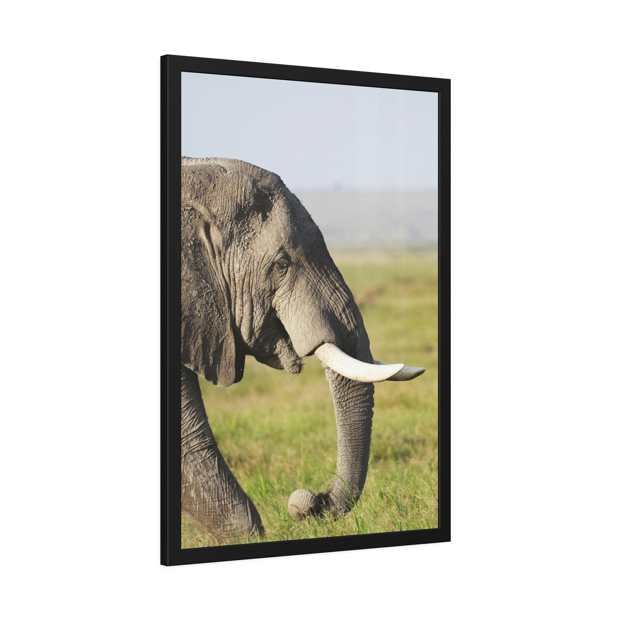 Safari A Walk on the Wild Side: An Up-Close Look at Africa's Most Magnificent Creatures