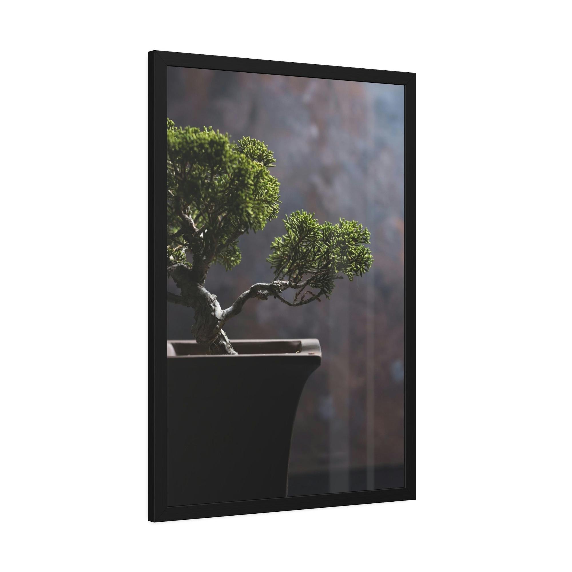 Bonsai Tree Bonsai Harmony: Framed Canvas and Print with Balanced Bonsai Tree Art