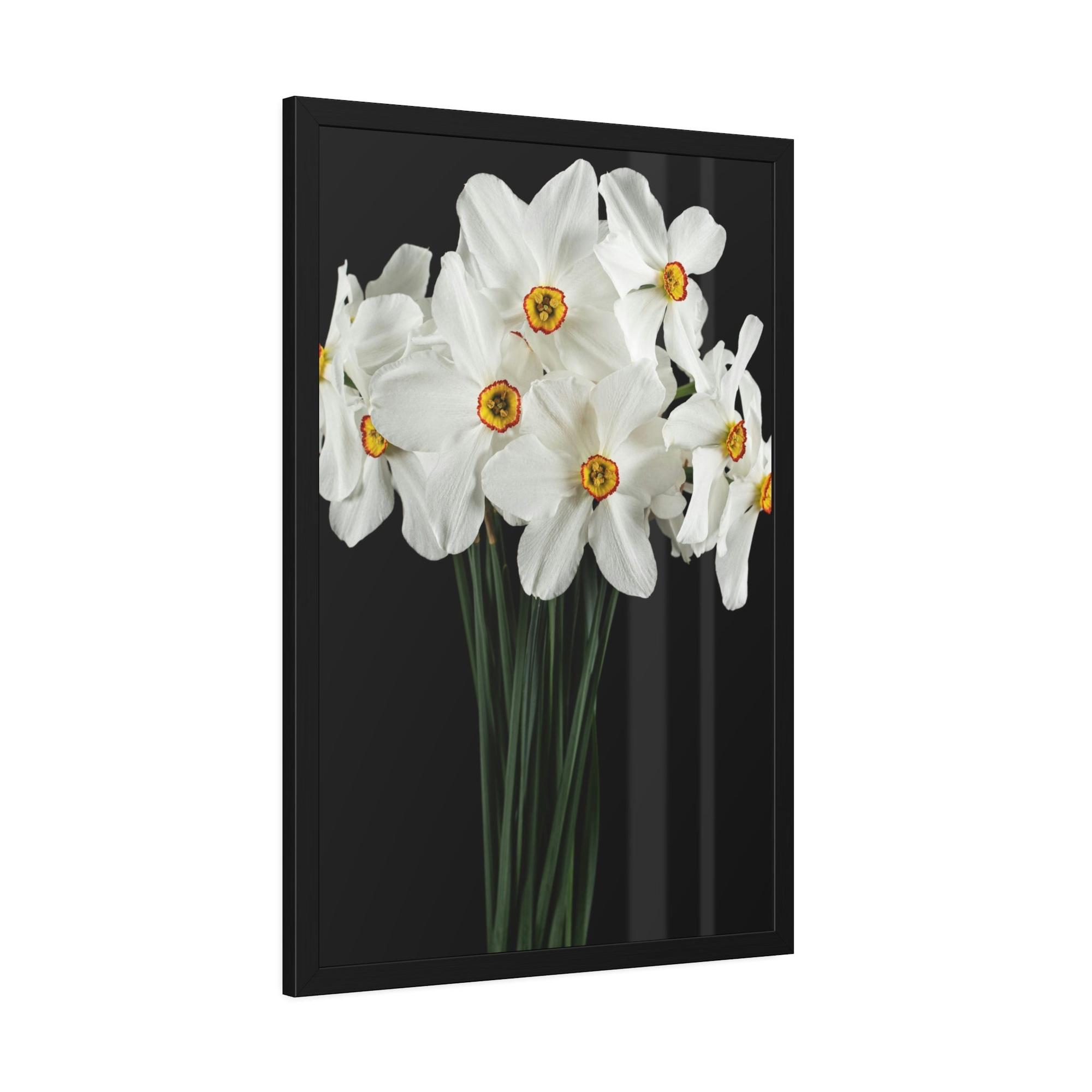 Daffodils Daffodil Euphoria: A Blissful Awakening