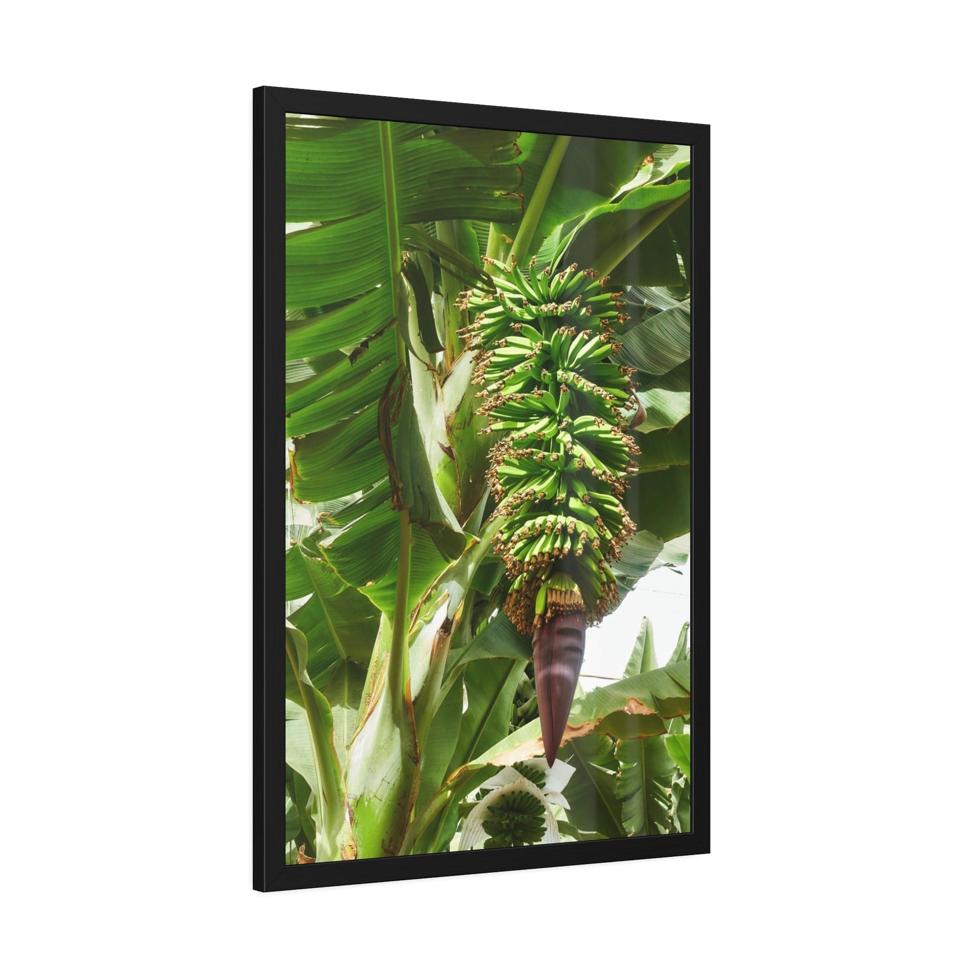 Banana Trees Tropics Calling: Canvas Art with Vibrant Banana Trees in a Jungle Setting