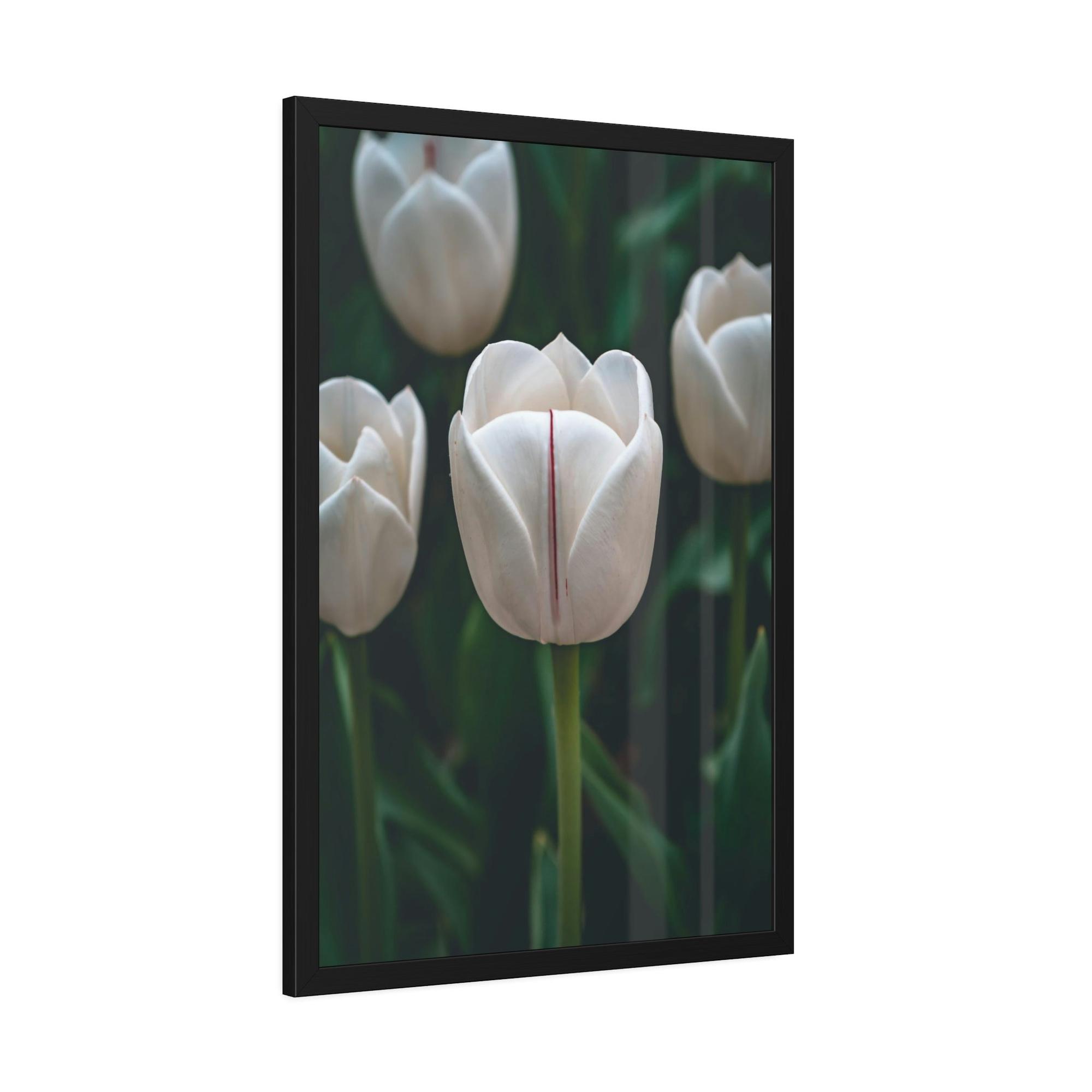 Tulips Blooming Tulips: A Springtime Bouquet
