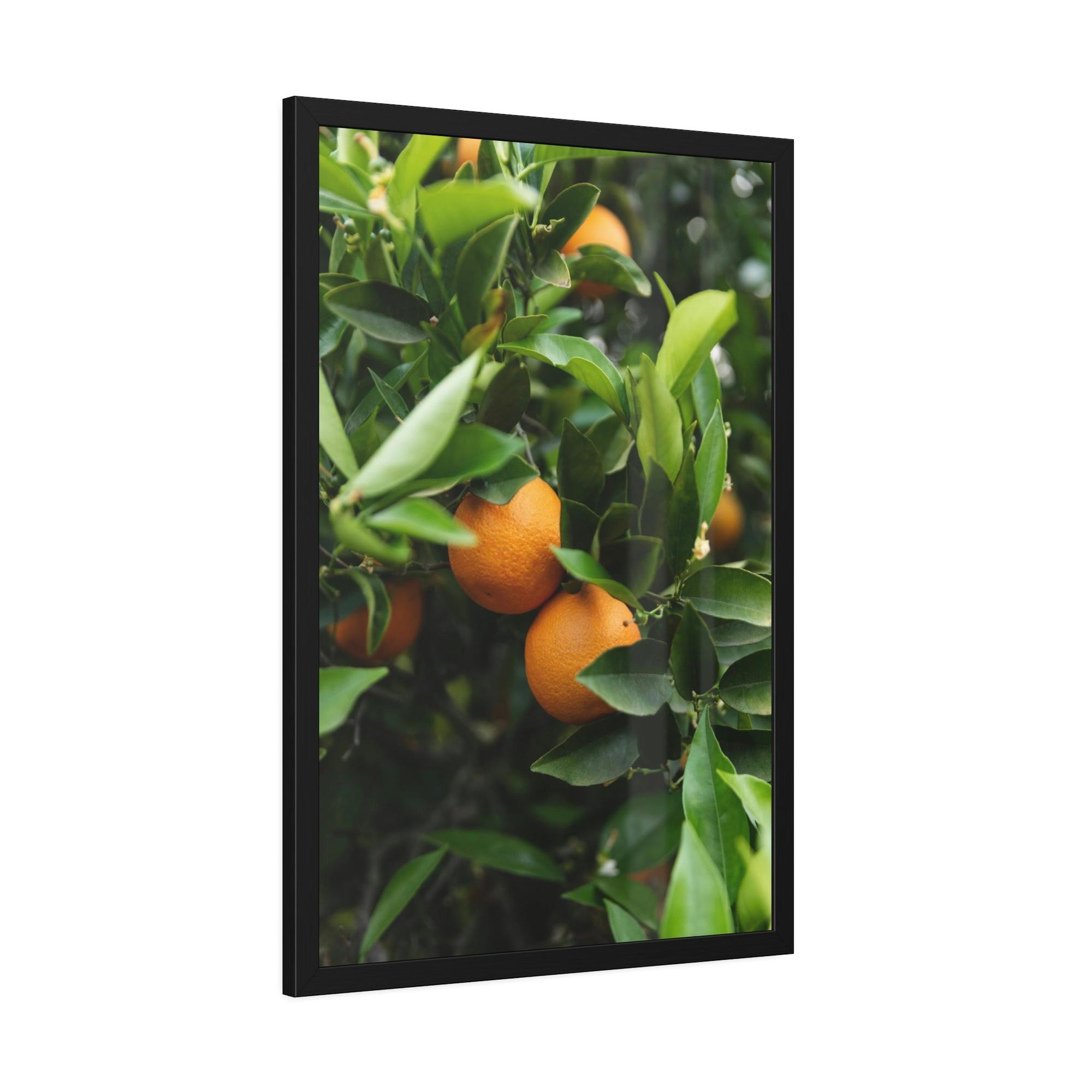 Fruit Trees Vivid Orchard: Fruit Trees Canvas Wall Decor