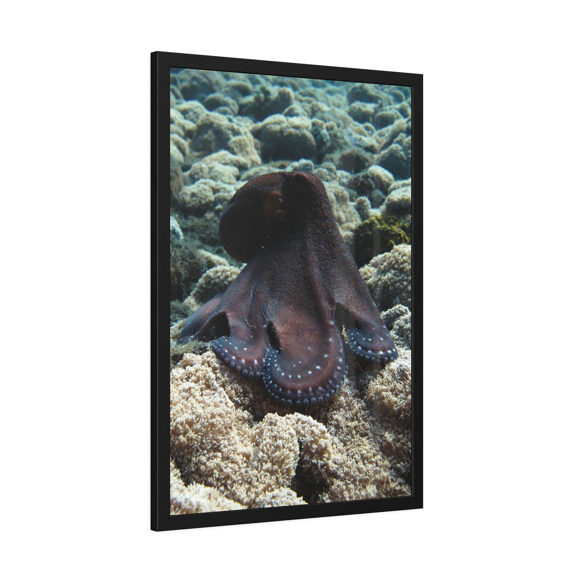 Octopuses The Enchantment of Octopuses: A Mysterious and Captivating Painting on Canvas