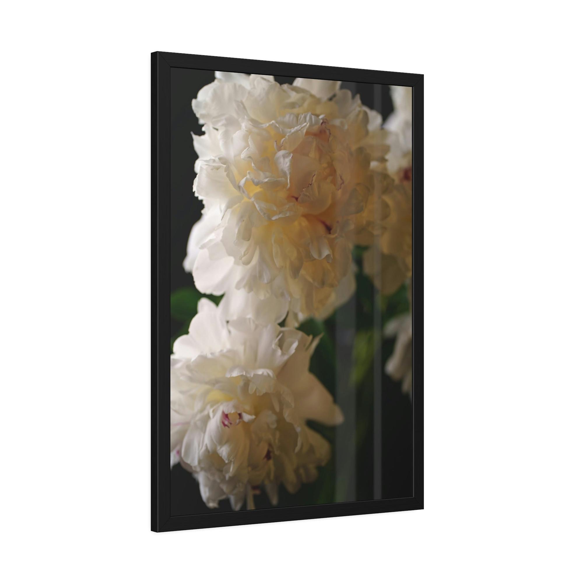Peonies Dazzling Display: A Peony Extravaganza