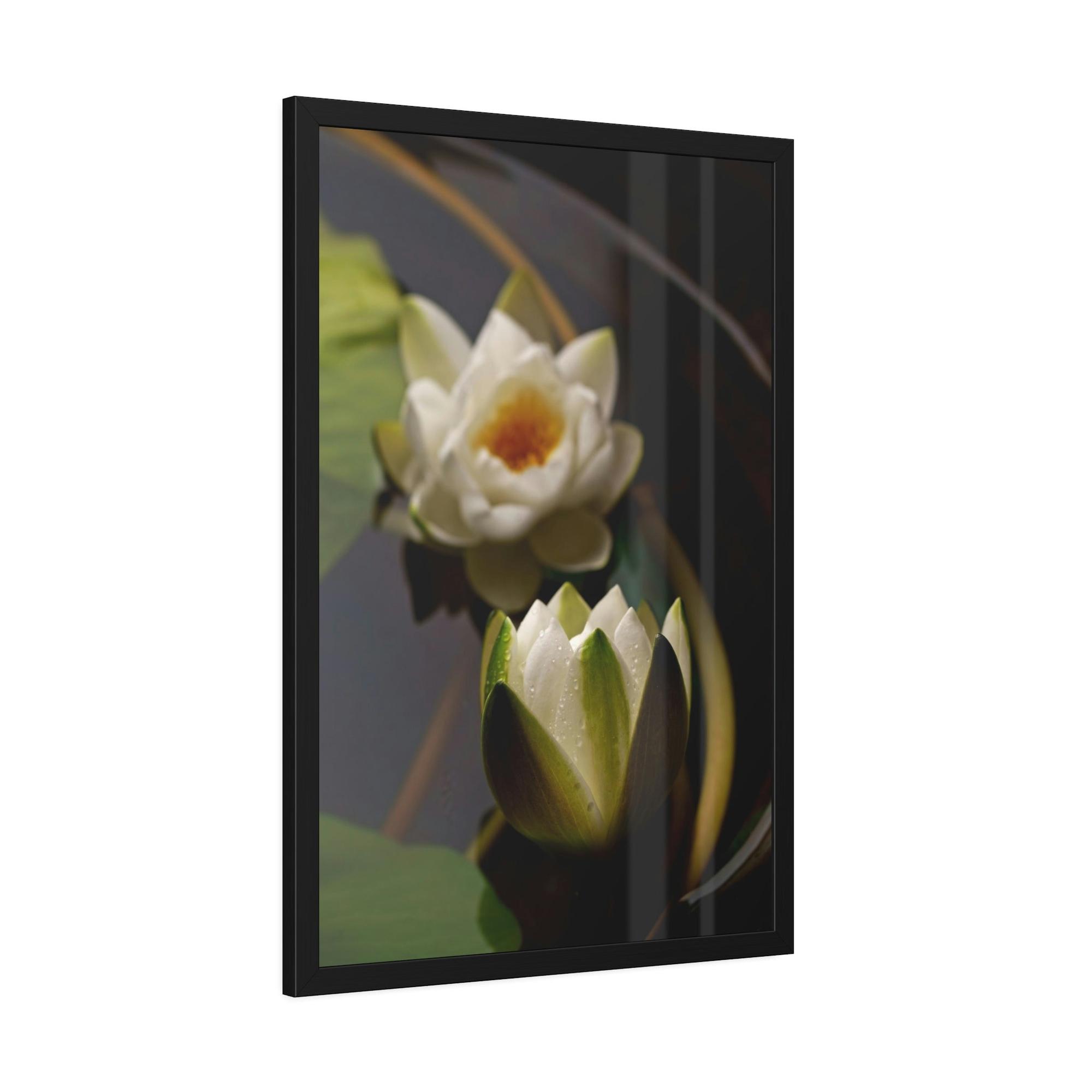 Lotuses Lotus Garden: Elegant Framed Poster and Print on Canvas