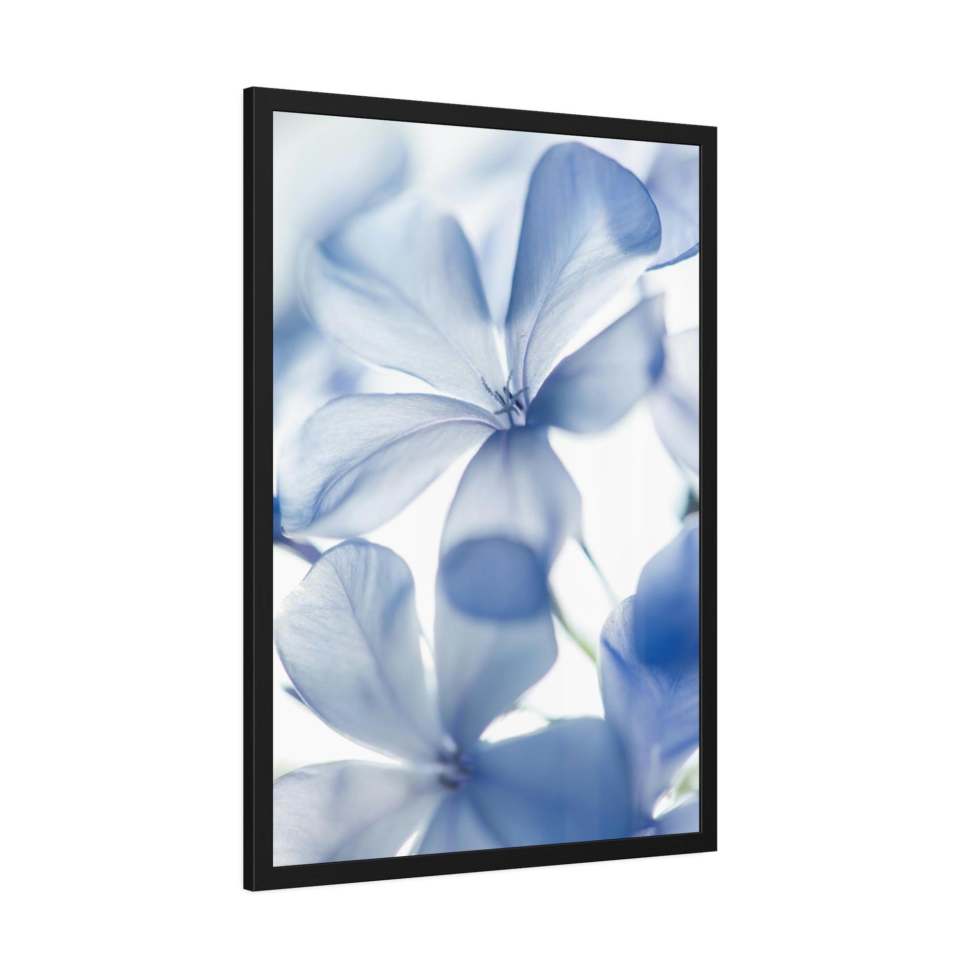 Floral Floral Whispers: Nature's Soft Symphony
