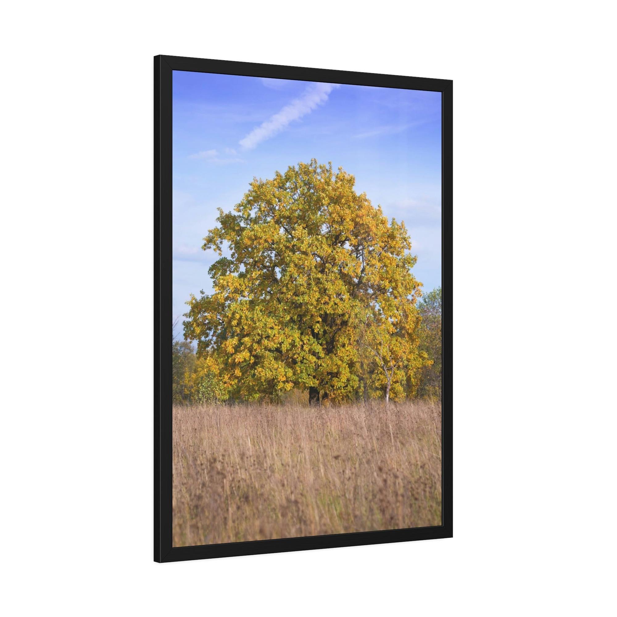 Oak Trees Whispers in the Wind: A Mystical Encounter with the Enchanting Oak Tree