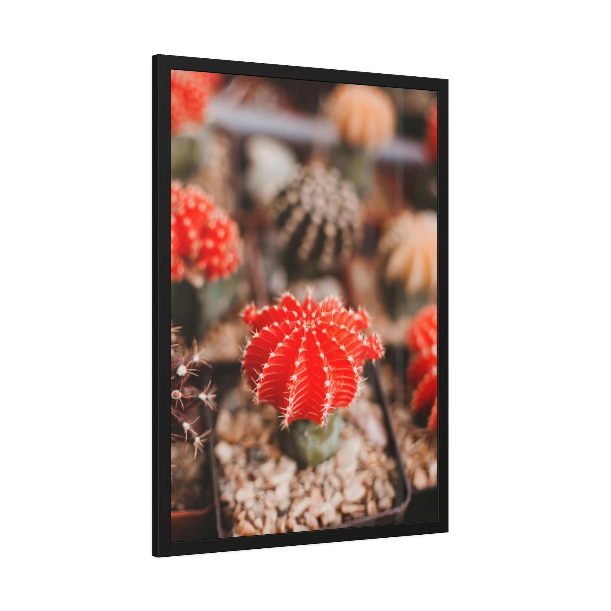 Cactus Cactus Kingdom: Canvas and Poster Prints of a Prickly Paradise