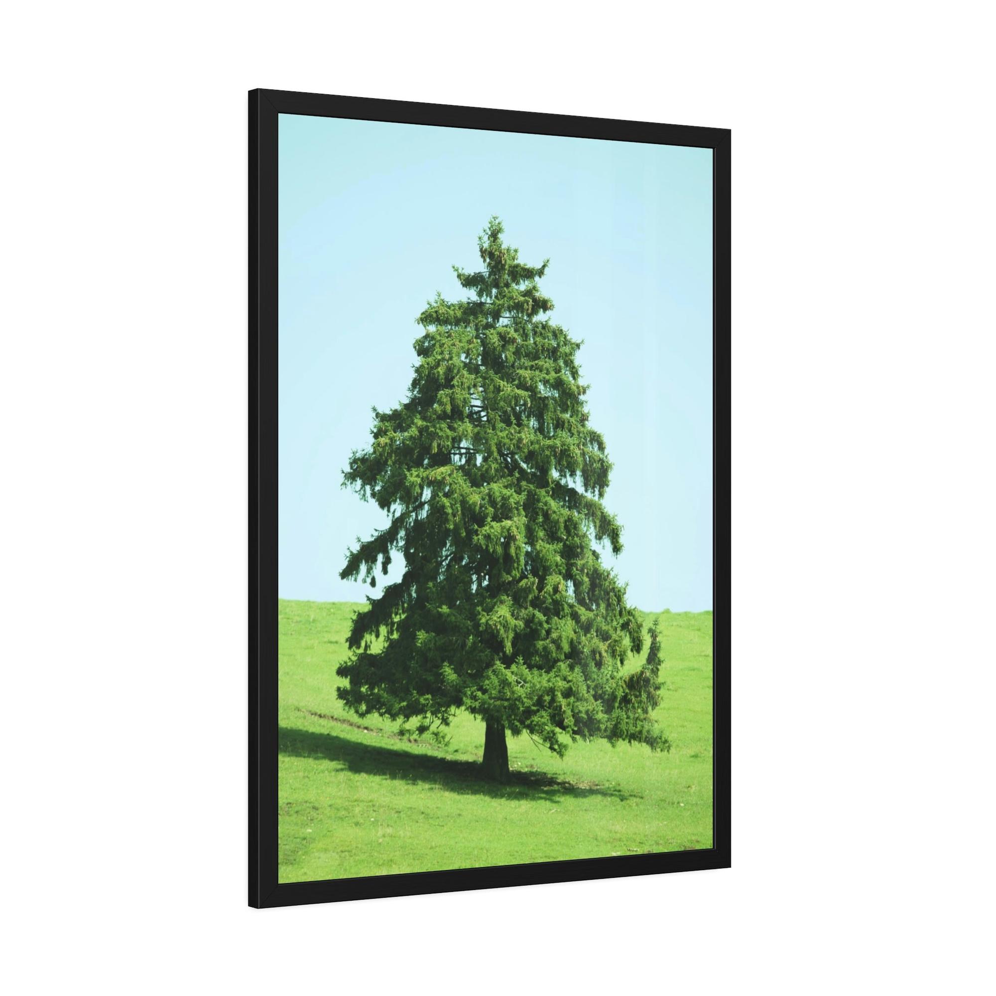 Cypress Tree A Cypress Oasis of Beauty and Tranquility: A Haven of Serenity and Peace