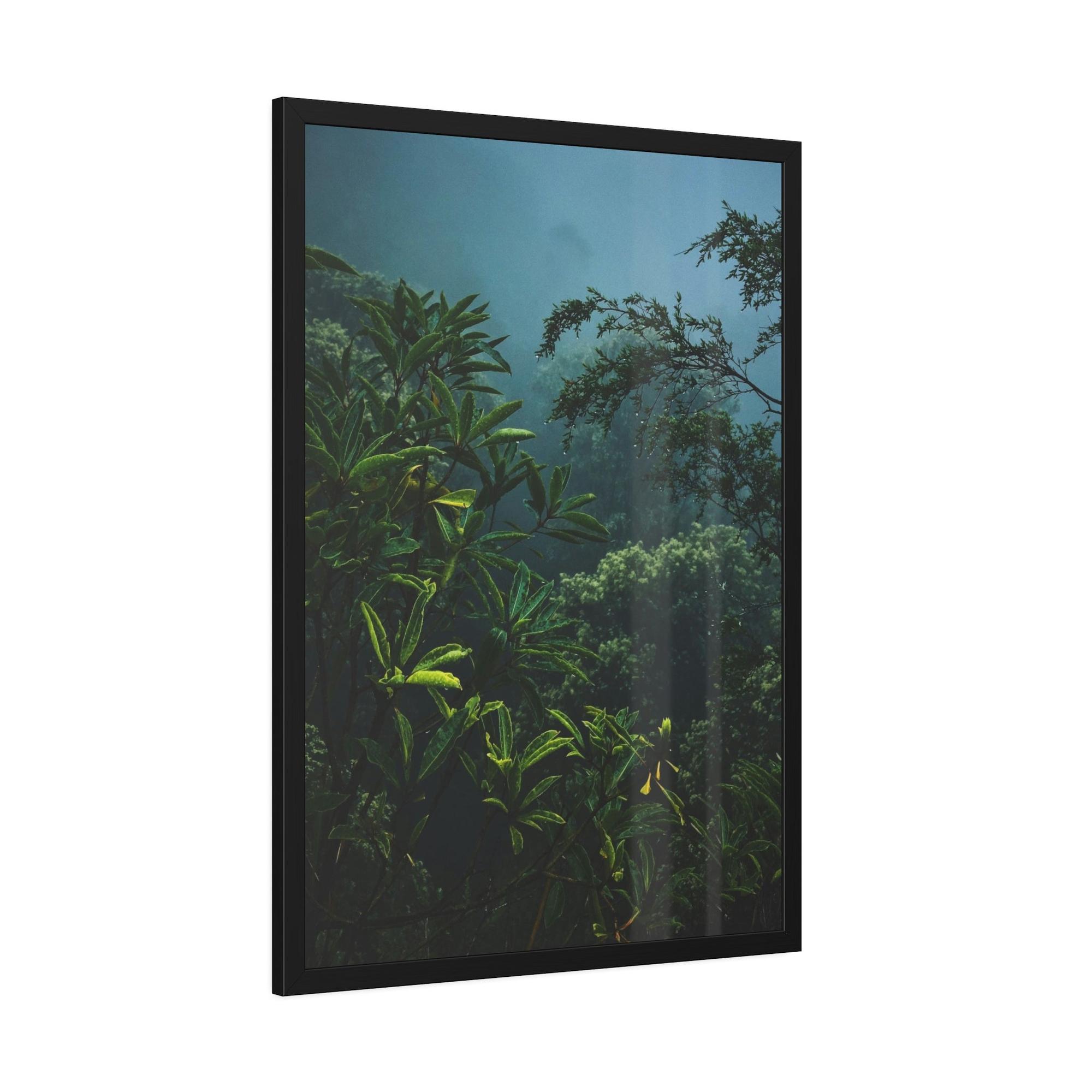 Forests And Jungles Forest and Jungle: A Haven of Tranquility and Serenity