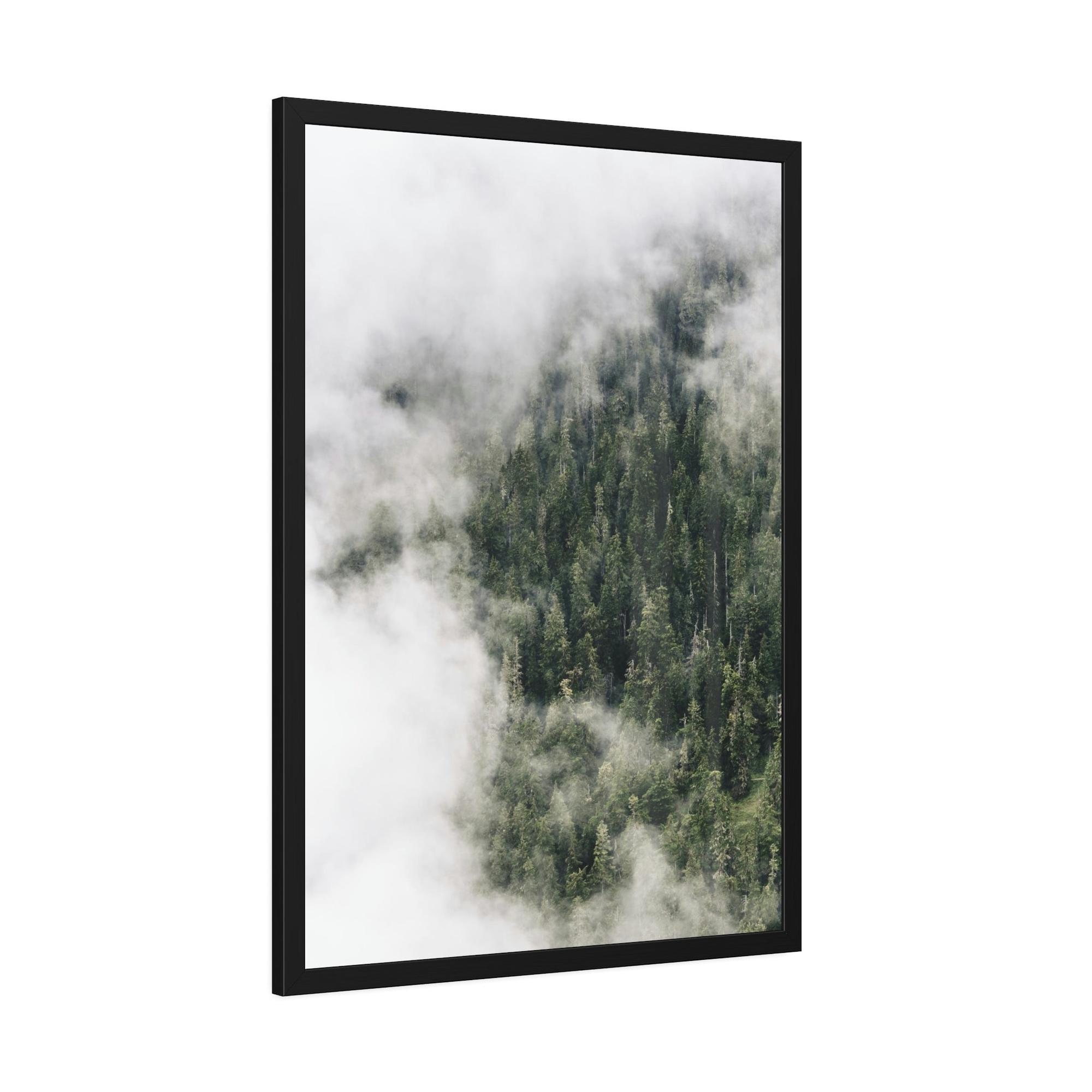 Forest Trees The Enchantment of the Woods: A Forest Dream