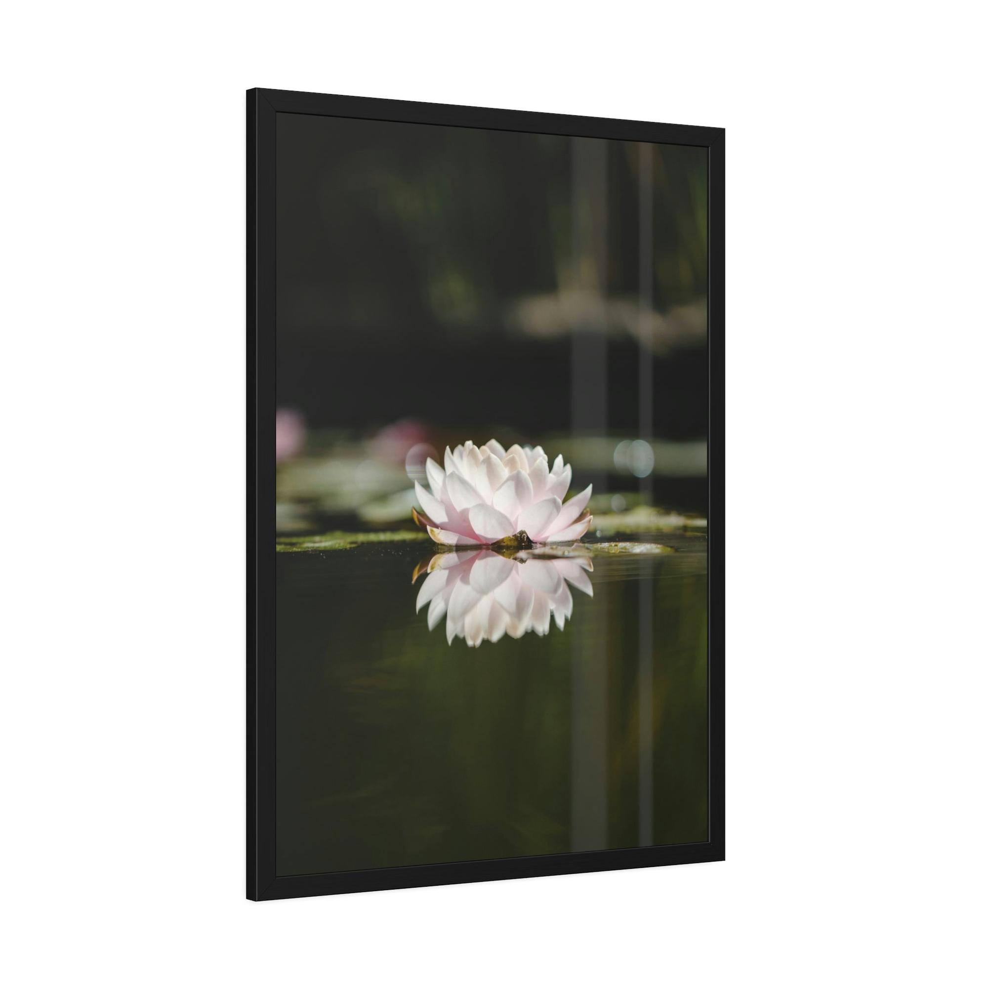 Lilies & Waterlily Waterlily Paradise: A Canvas of Natural Tranquility