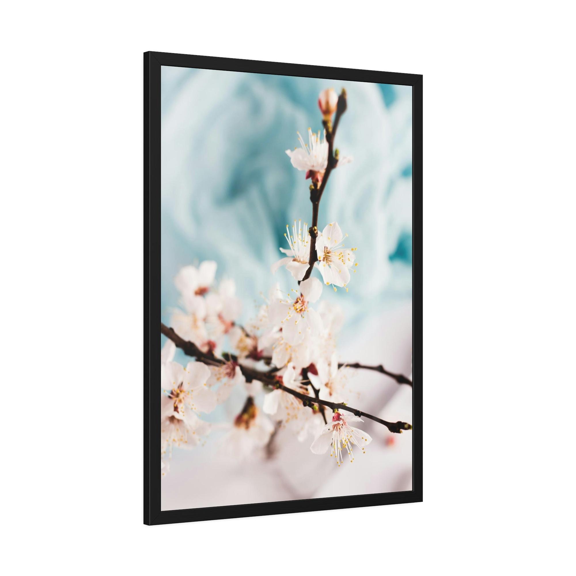 Cherry Blossoms Fragile Elegance: Cherry Blossoms on Artistic Print