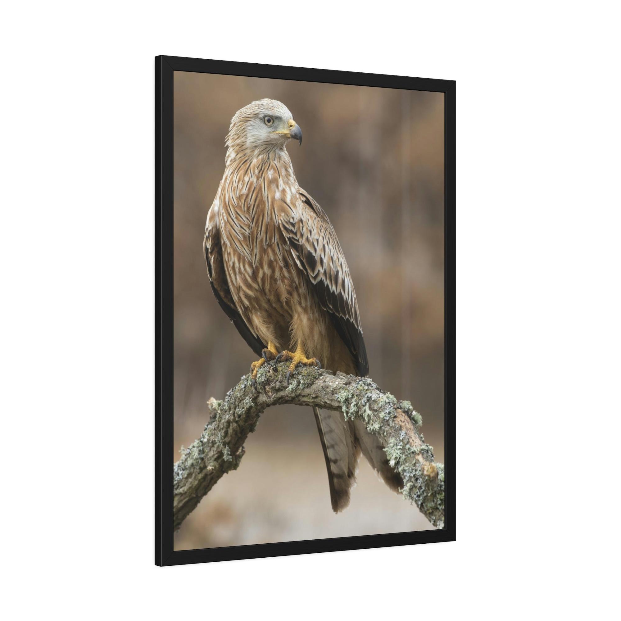 Eagles Wings of Majesty: Poster & Canvas Celebrating the Power of Eagles