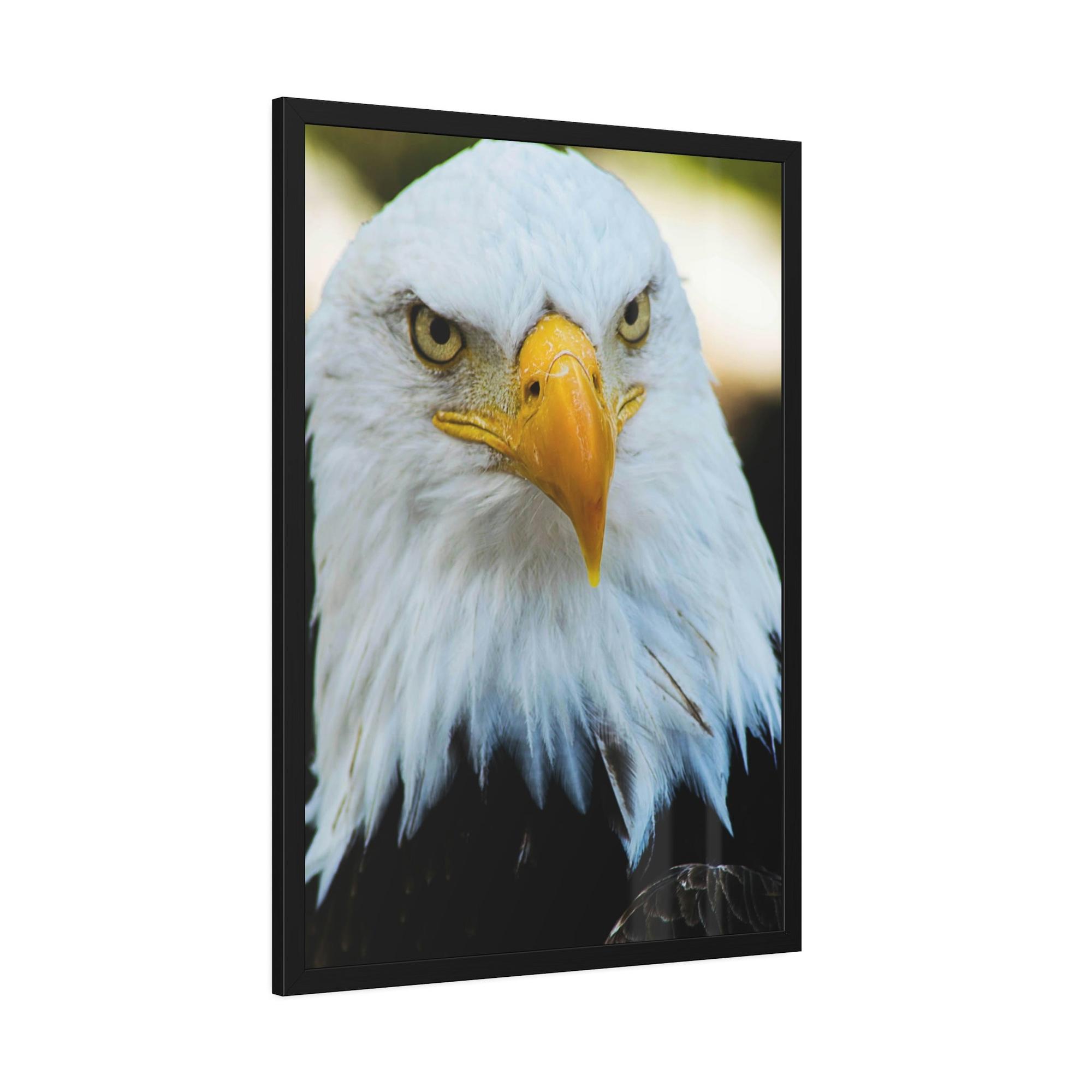 Eagles Eagle's Vigil: Canvas & Poster Enchanting with the Gaze of Majestic Birds