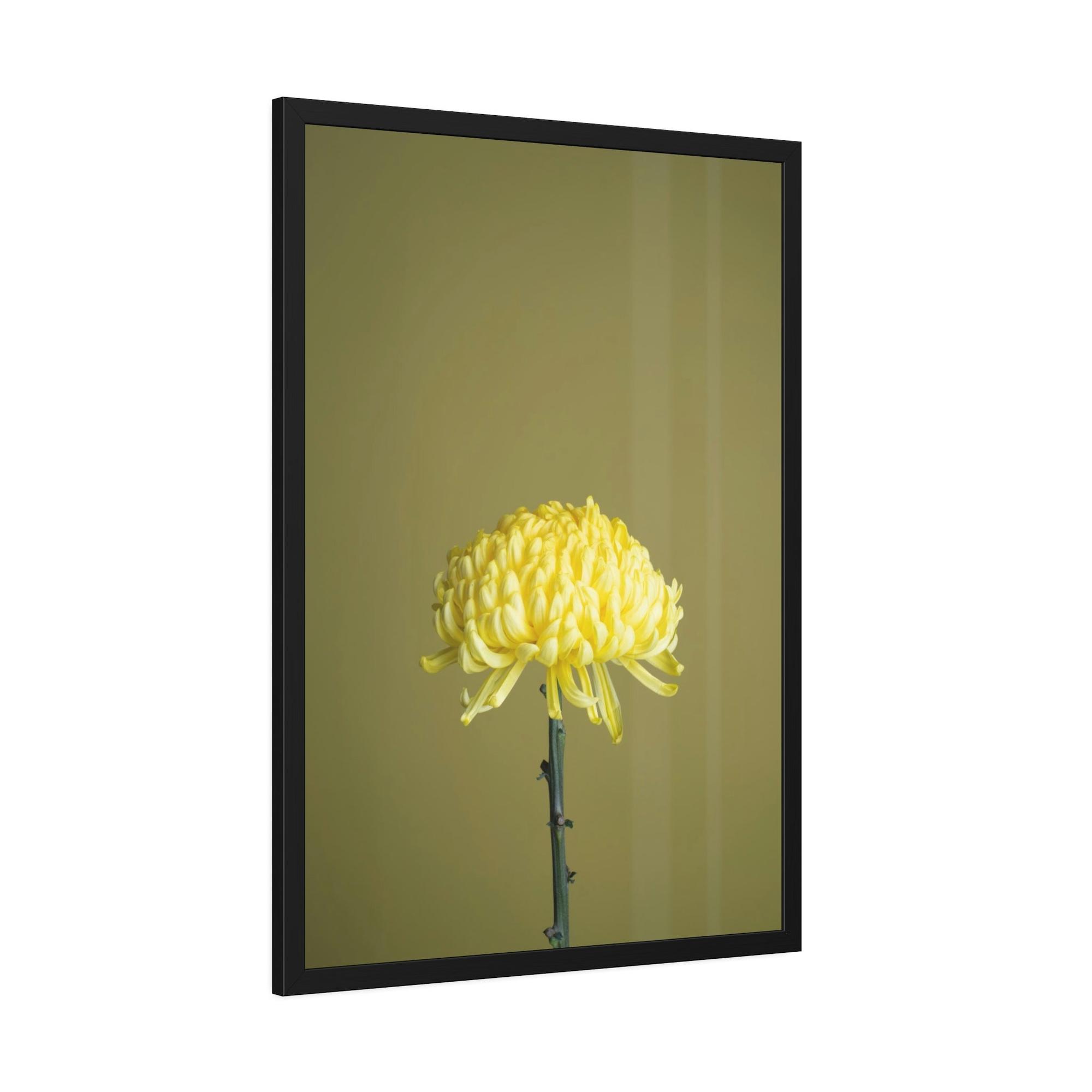 undefined Chrysanthemum Elegance: Striking Wall Art on Framed Canvas