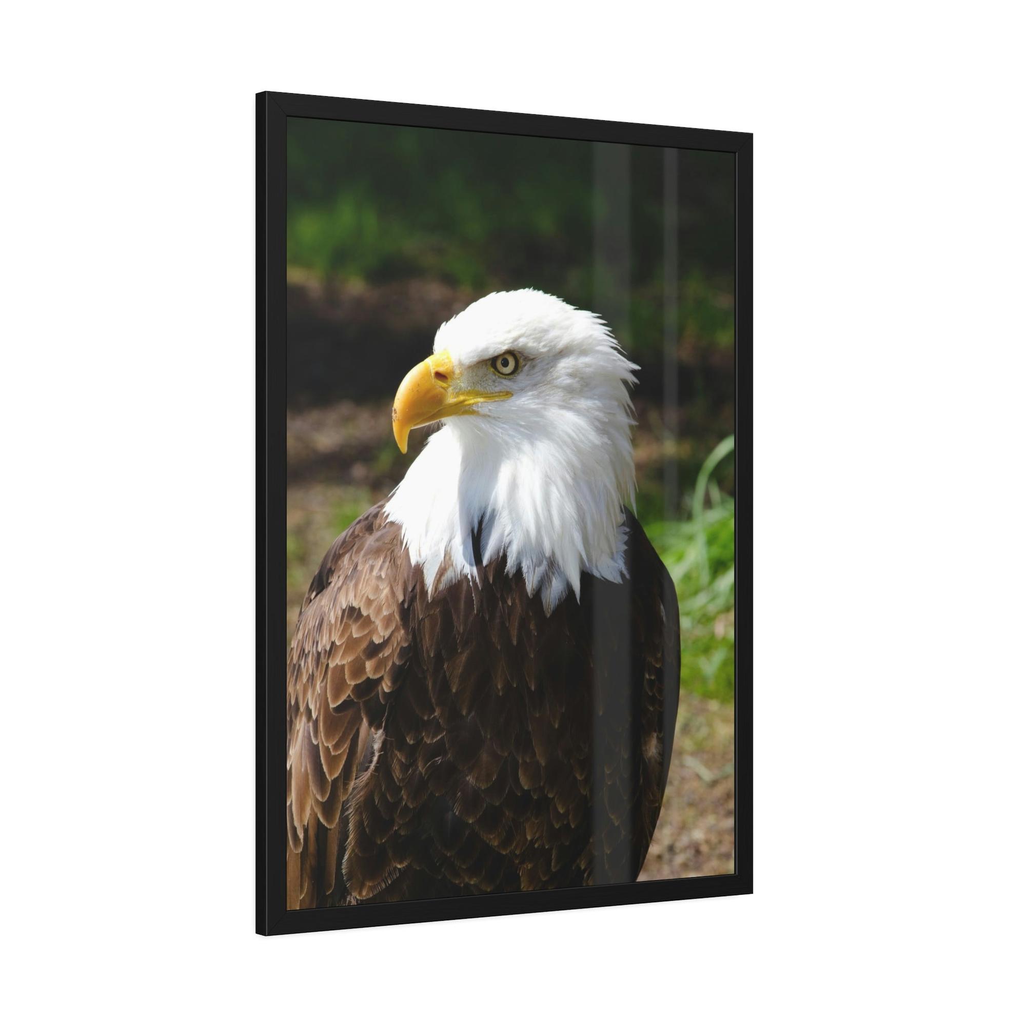 Eagles Eagles in the Wild: Canvas Wall Art Celebrating these Noble Creatures