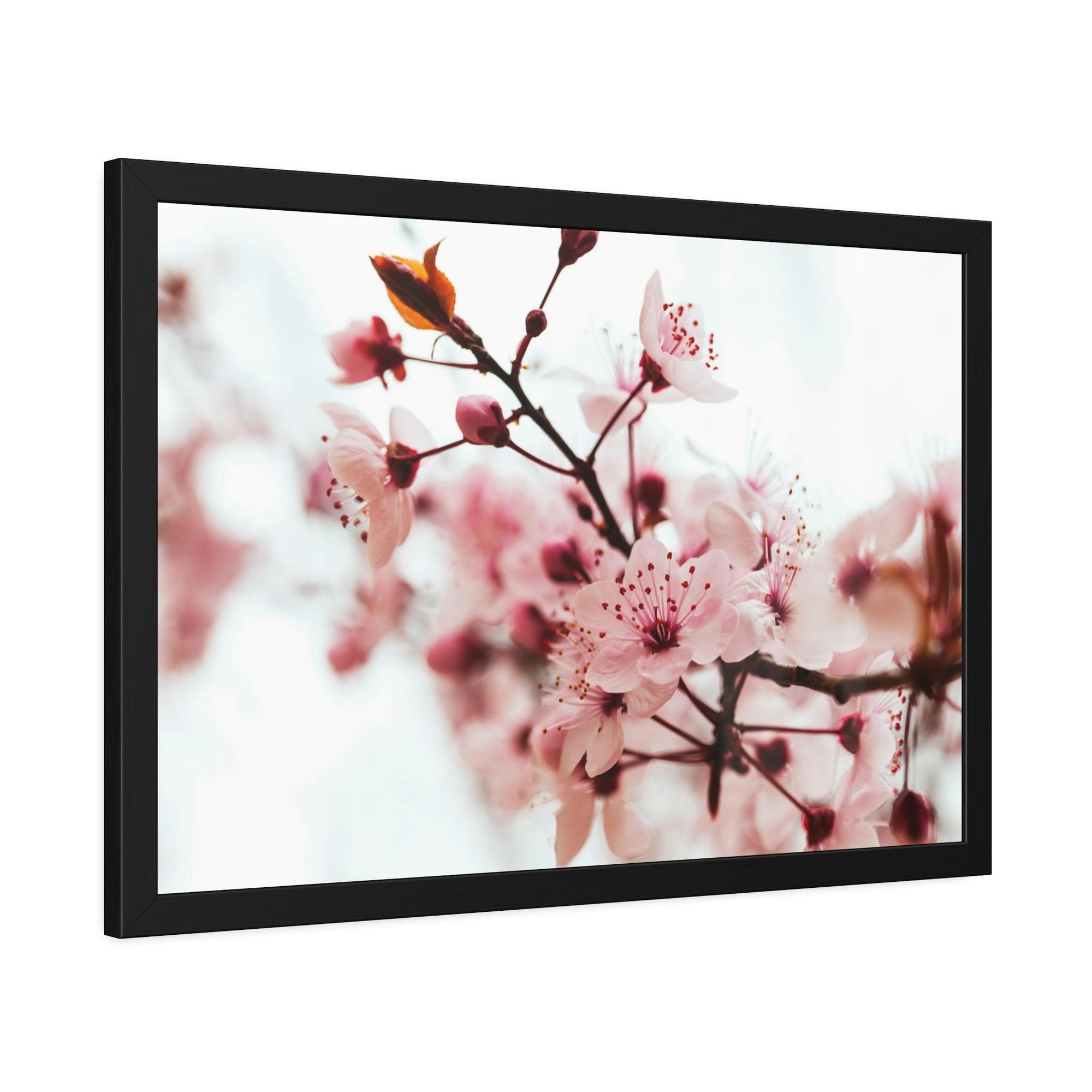 Almond Blossoms Blossoming Beauty: Almond Blossoms on Natural Canvas & Poster