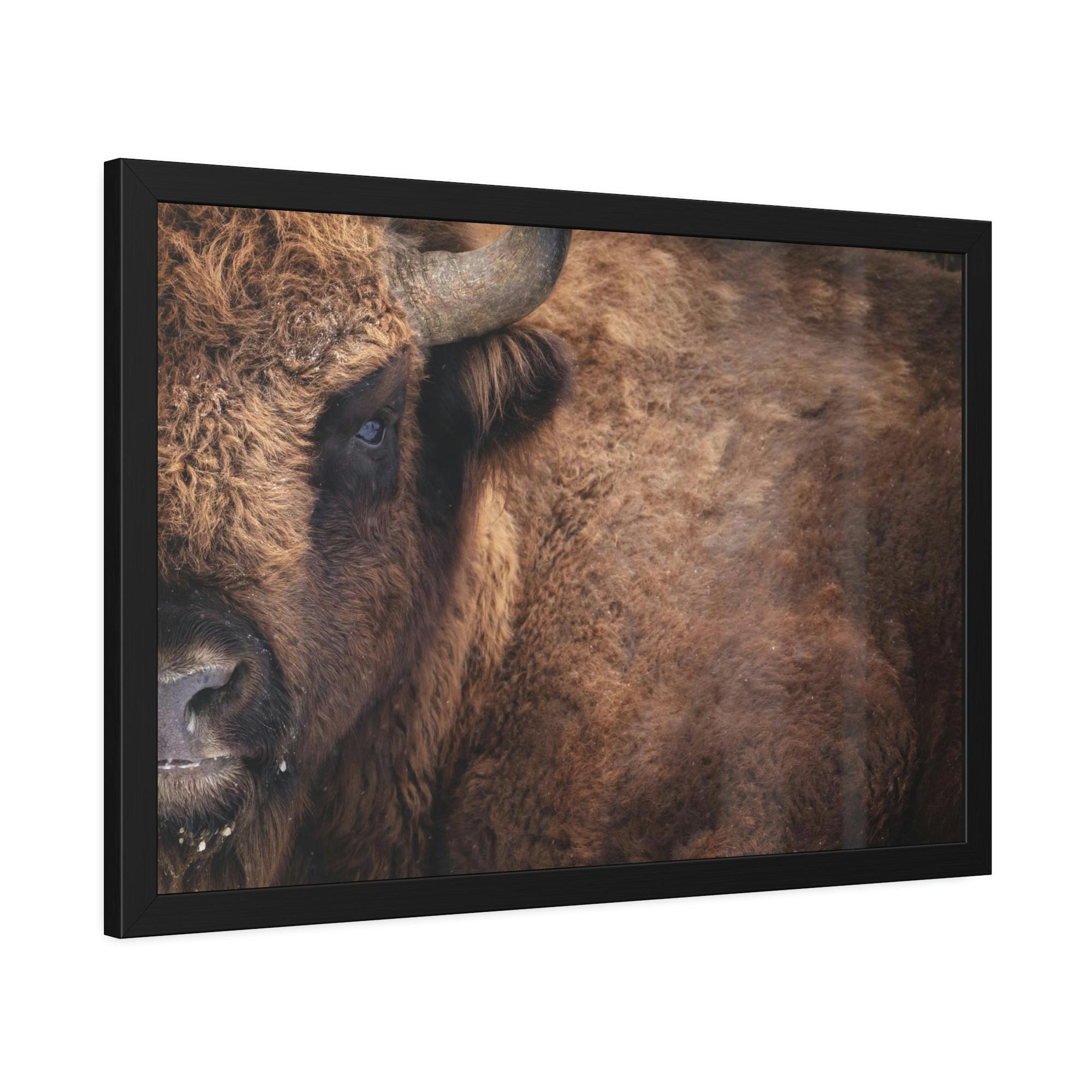Bulls Artistic Bull Illustration: Natural Canvas and Poster Prints