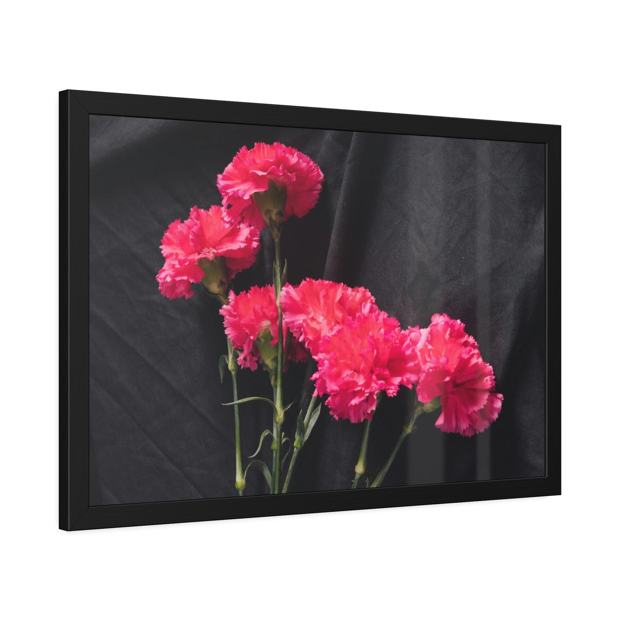 Carnations Beautiful Blooms: Natural Canvas and Art Prints of Carnations