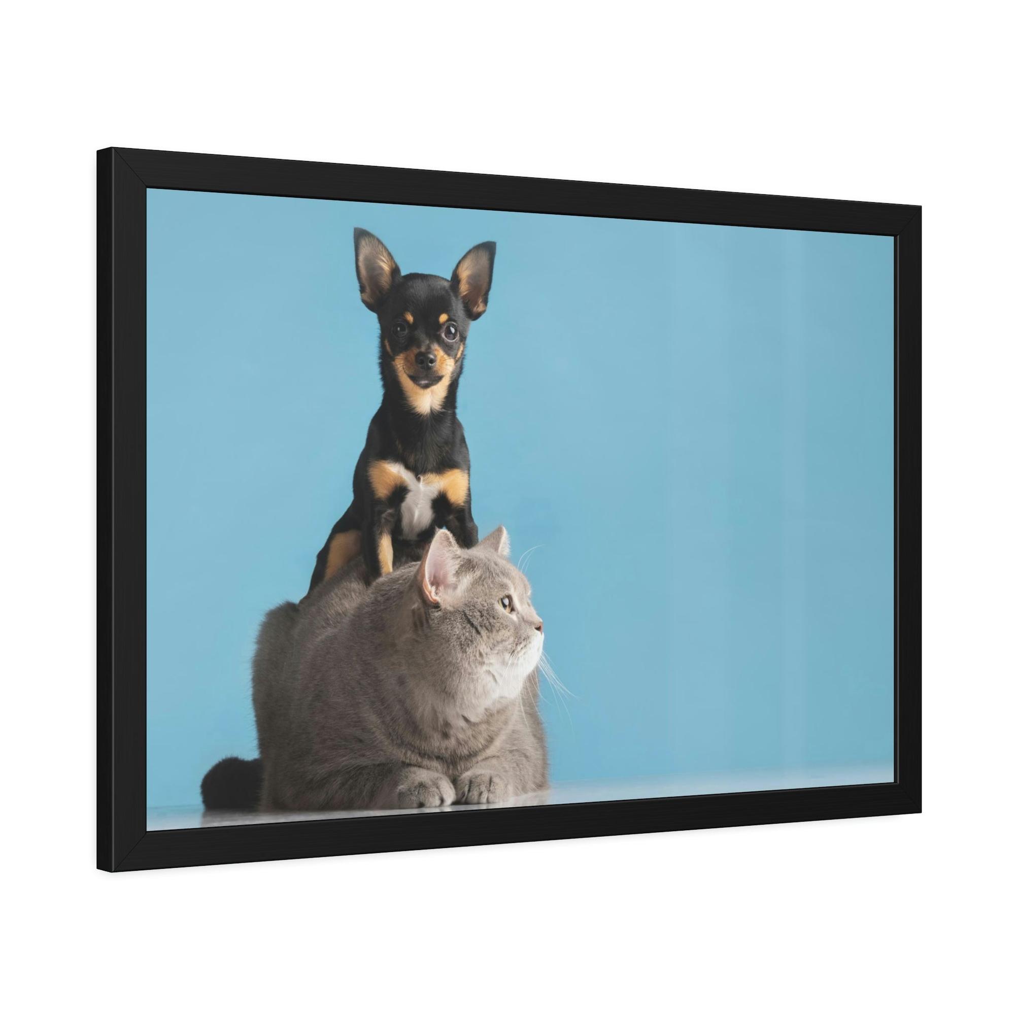 Animals Animal Kingdom: Canvas Art Featuring a Variety of Animals in a Natural Habitat