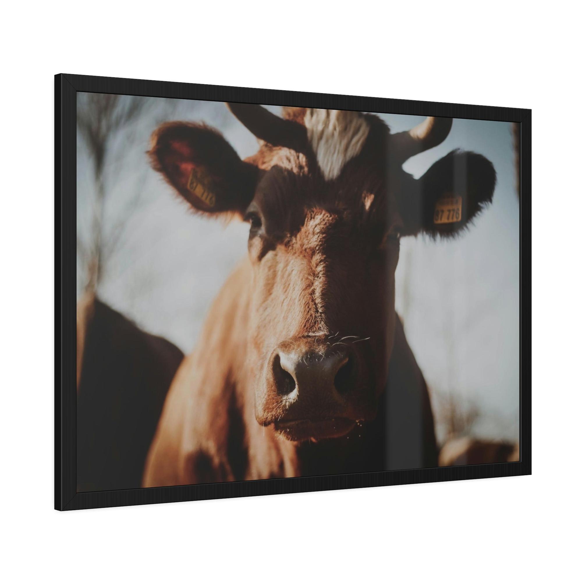 Cows Cow Dreams: Poster & Canvas Print and Wall Art of Whimsical Cow