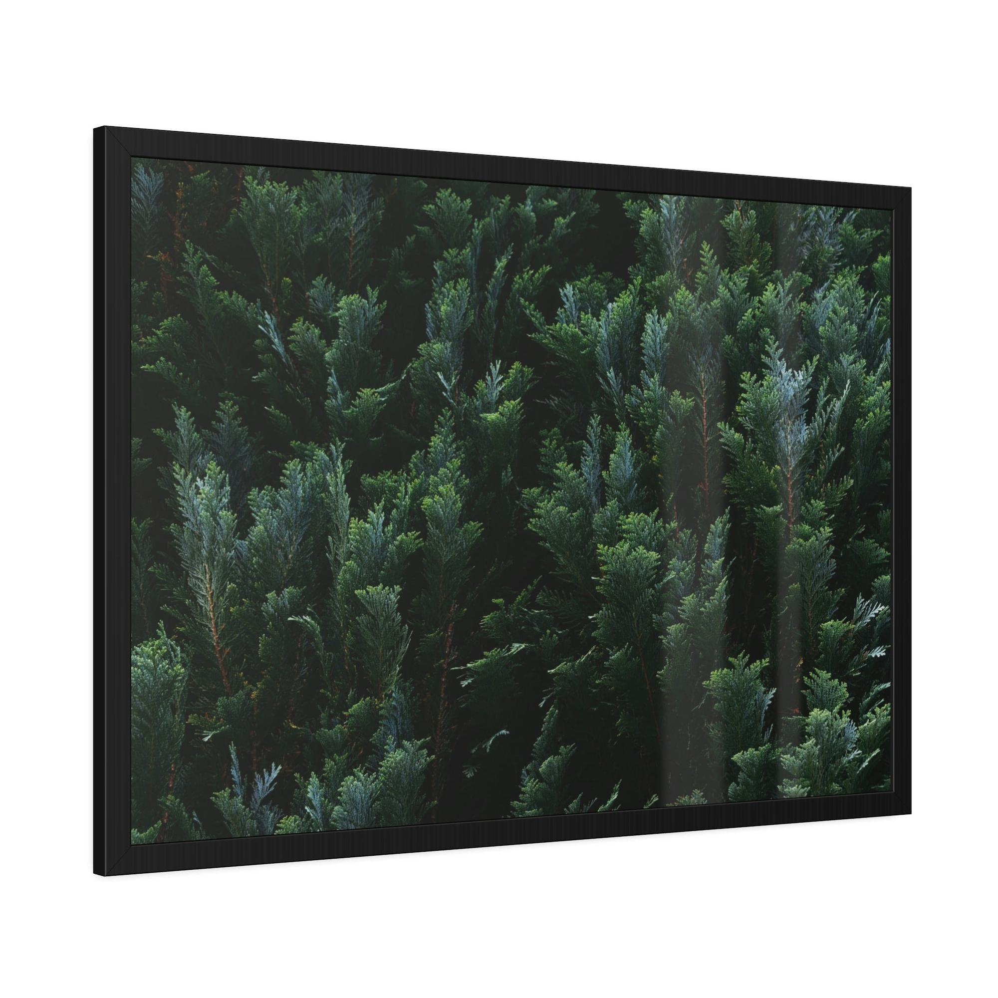 Cypress Tree Cypress Trees and the Eternal Serenity of Nature: A Vision of Peace and Calm