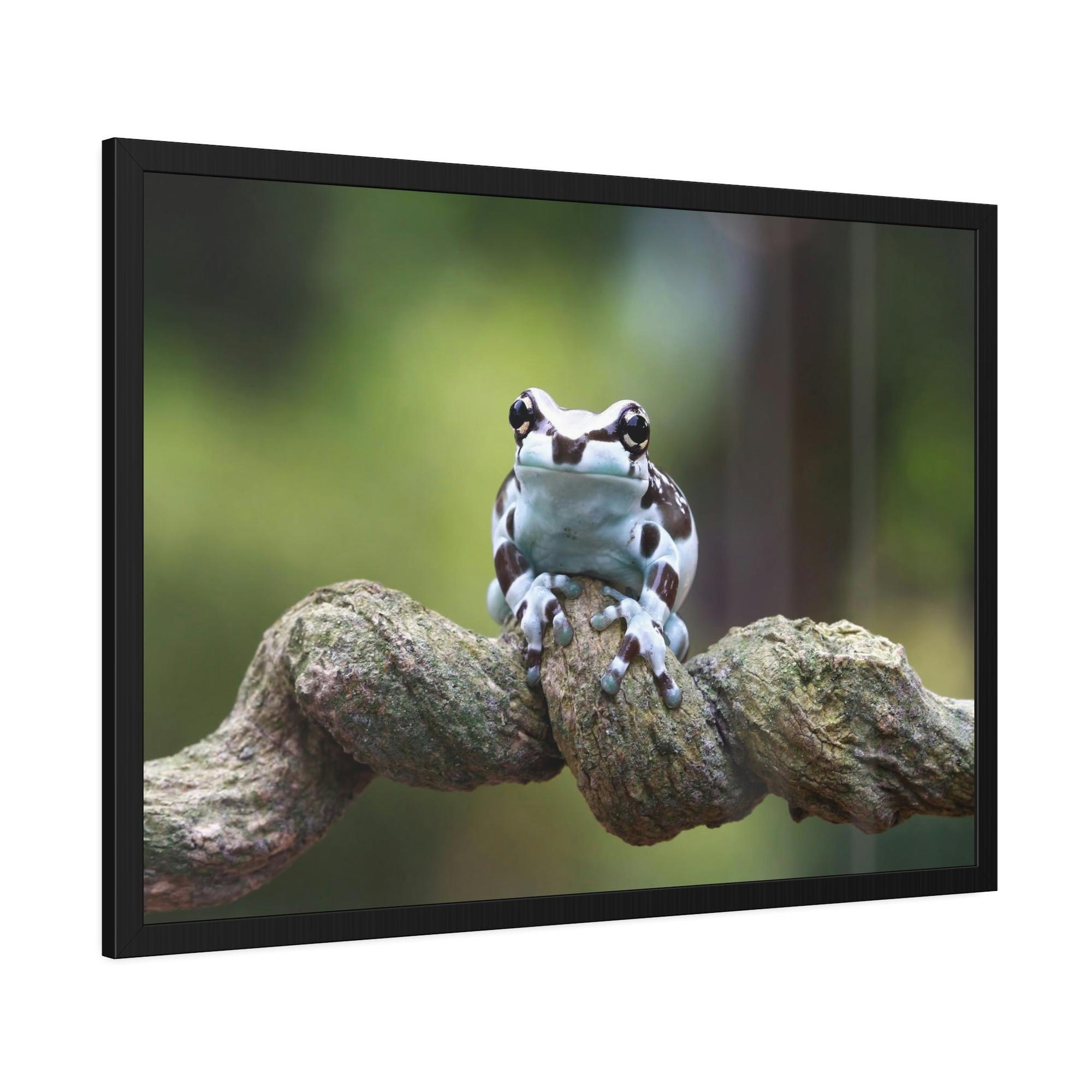 Frogs The Magic of Frogs: A Mystical Journey Through Nature's Realm