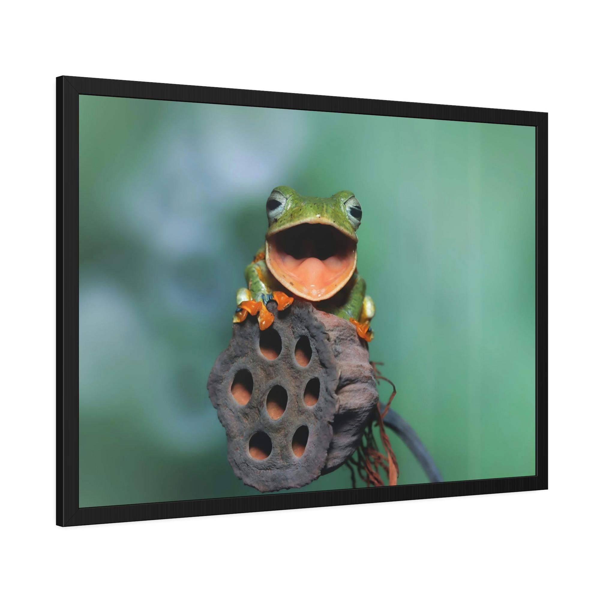 Frogs A Frog's World: An Exploration of Amphibian Life and Habitats