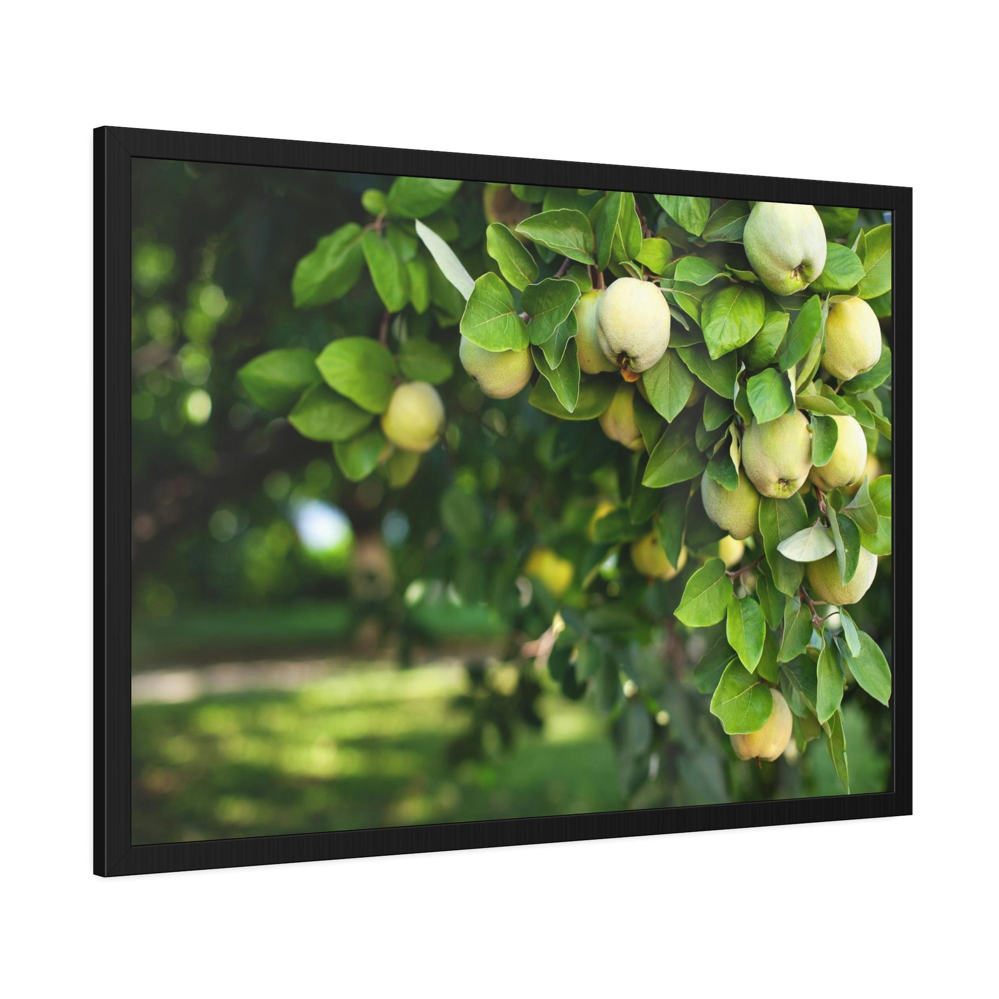 Fruit Trees Harvest Time: Fruit Trees Painting on Canvas