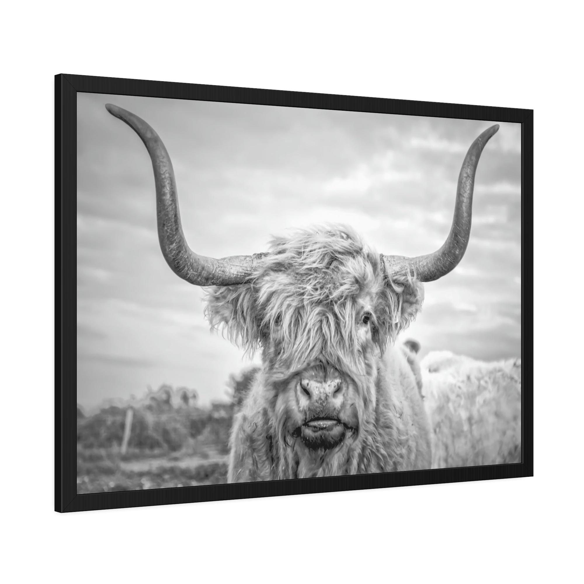 Highland Cow Highland Cow Canvas Print | Black-White Colors | Horned Cattle Wall Art — Pixoram