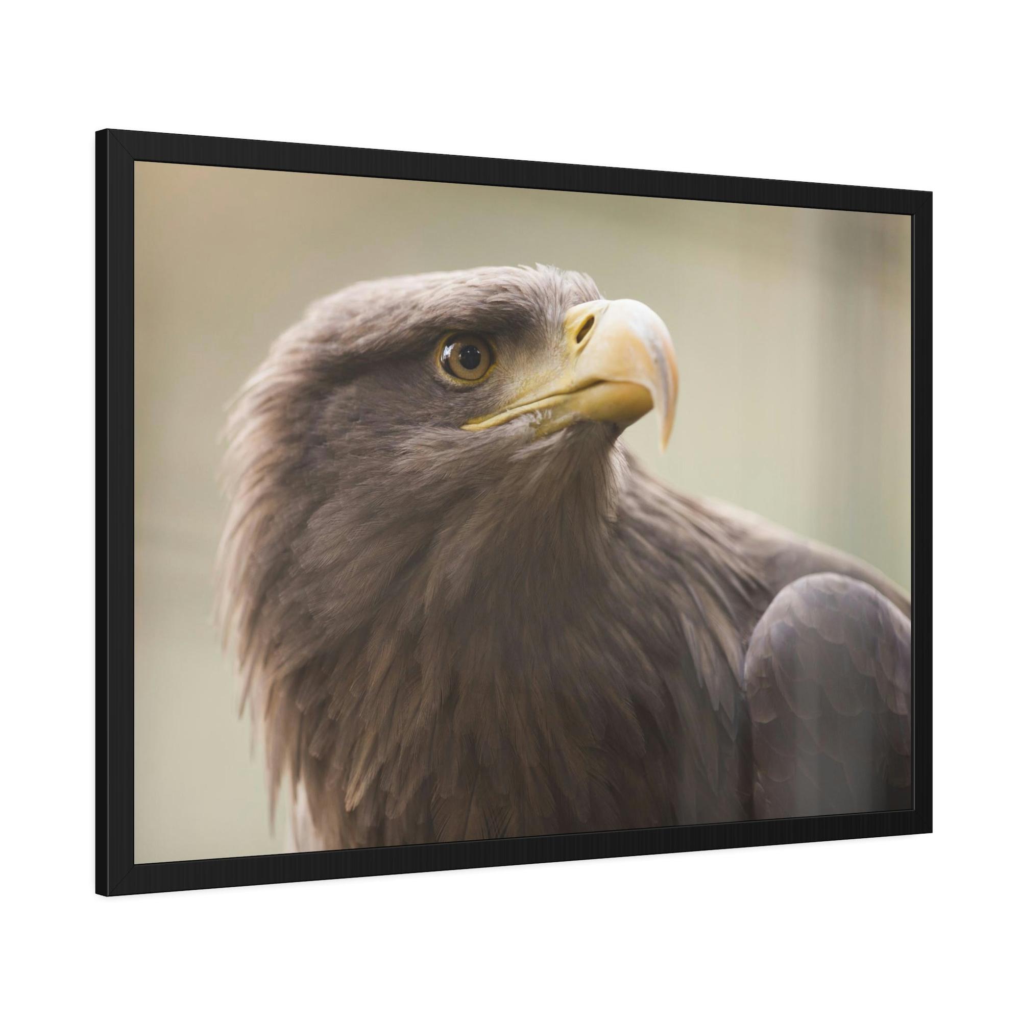 Eagles Flight of Wonder: Wall Art Enthralling with the Mystique of Eagles in Flight