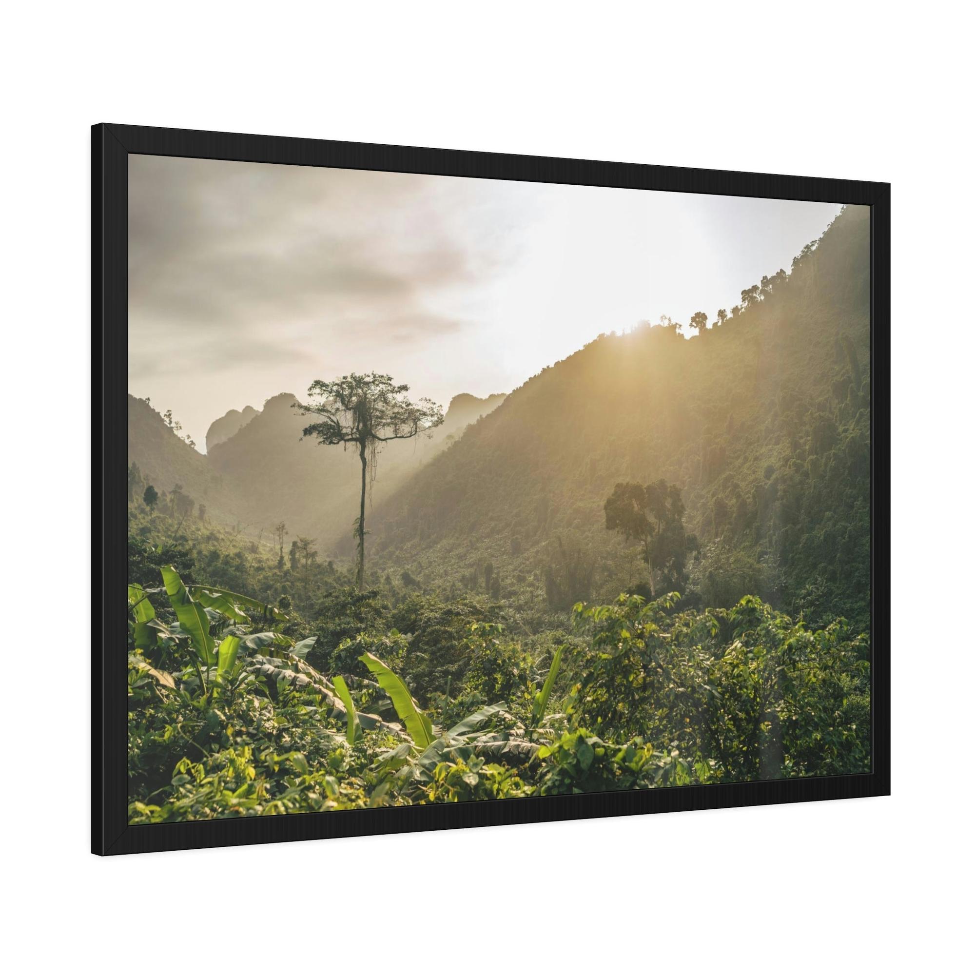 Forests And Jungles A Journey Through Forests and Jungles: A Glimpse into the Heart of Nature
