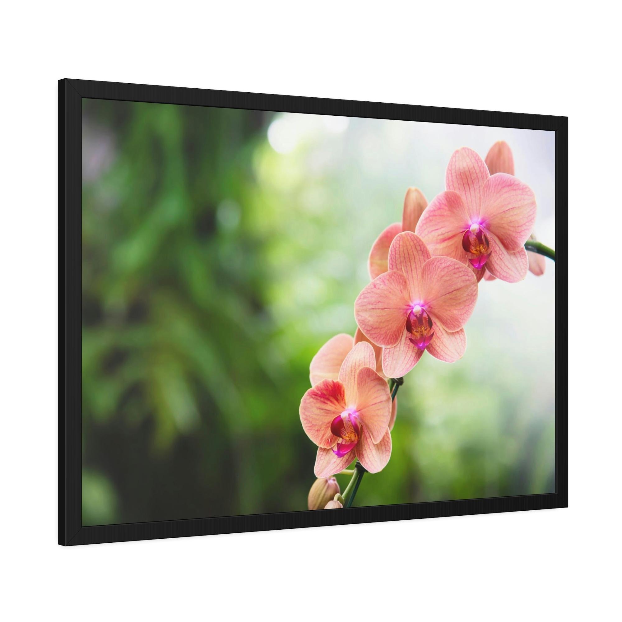 Orchids Whispers of Orchids: A Soft Canvas Touch