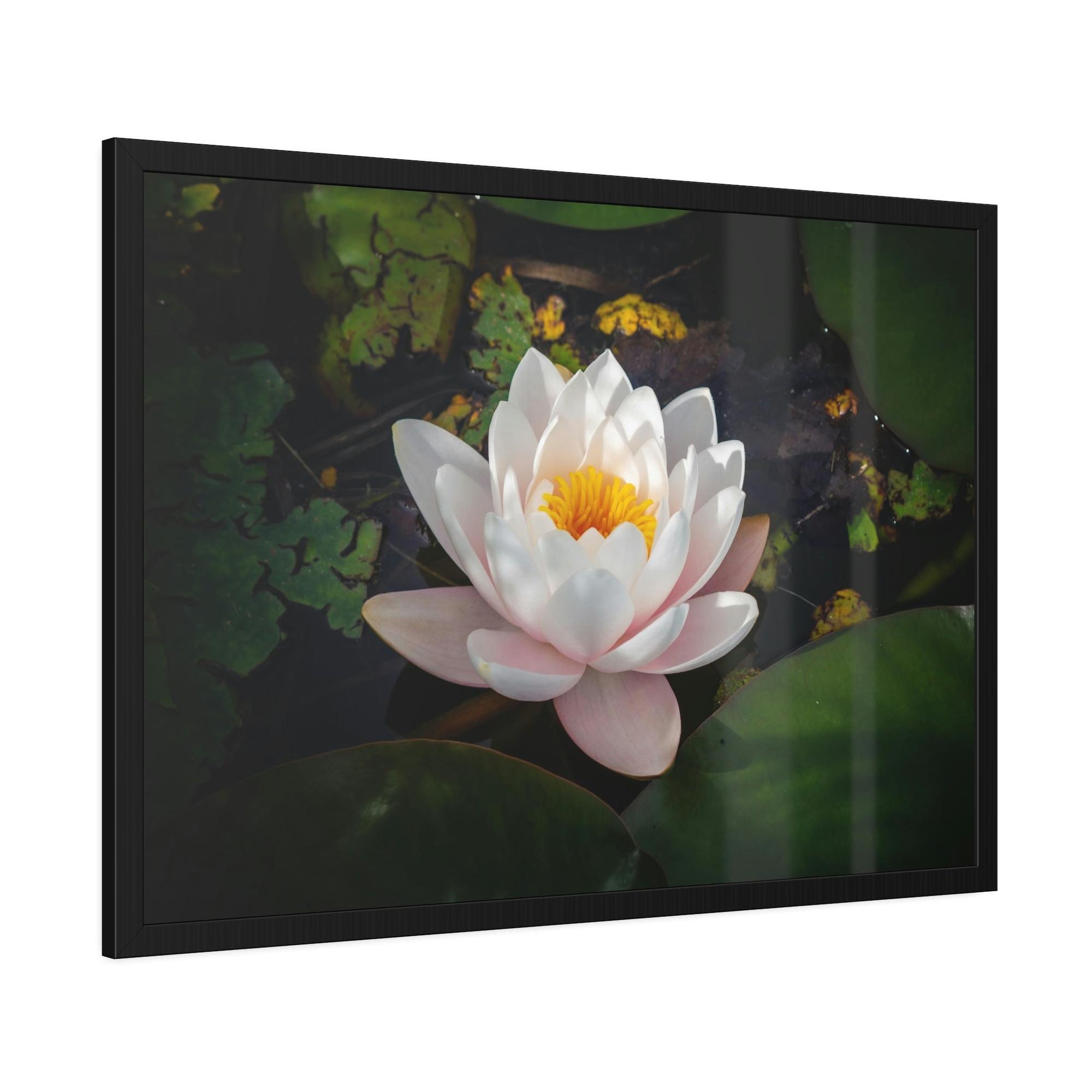 Lilies & Waterlily Tranquil Waters: A Canvas Depiction of Lilies Afloat