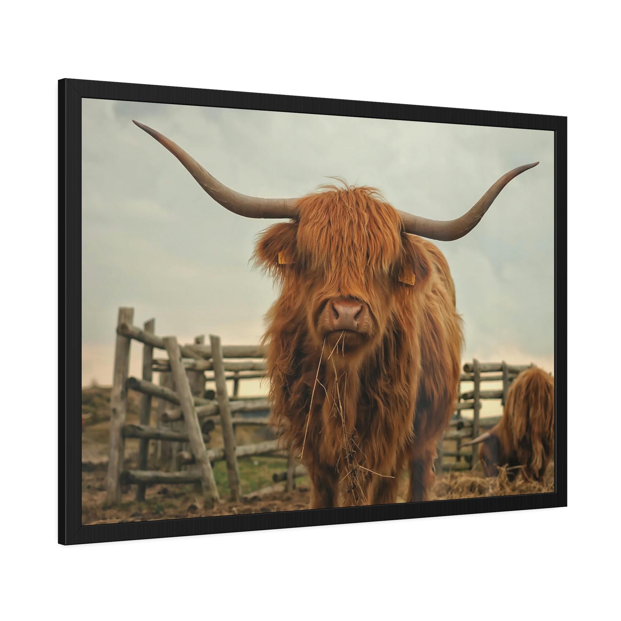 Highland Cow Highland Cow | Brown Horned Cow | Wall Art — Pixoram