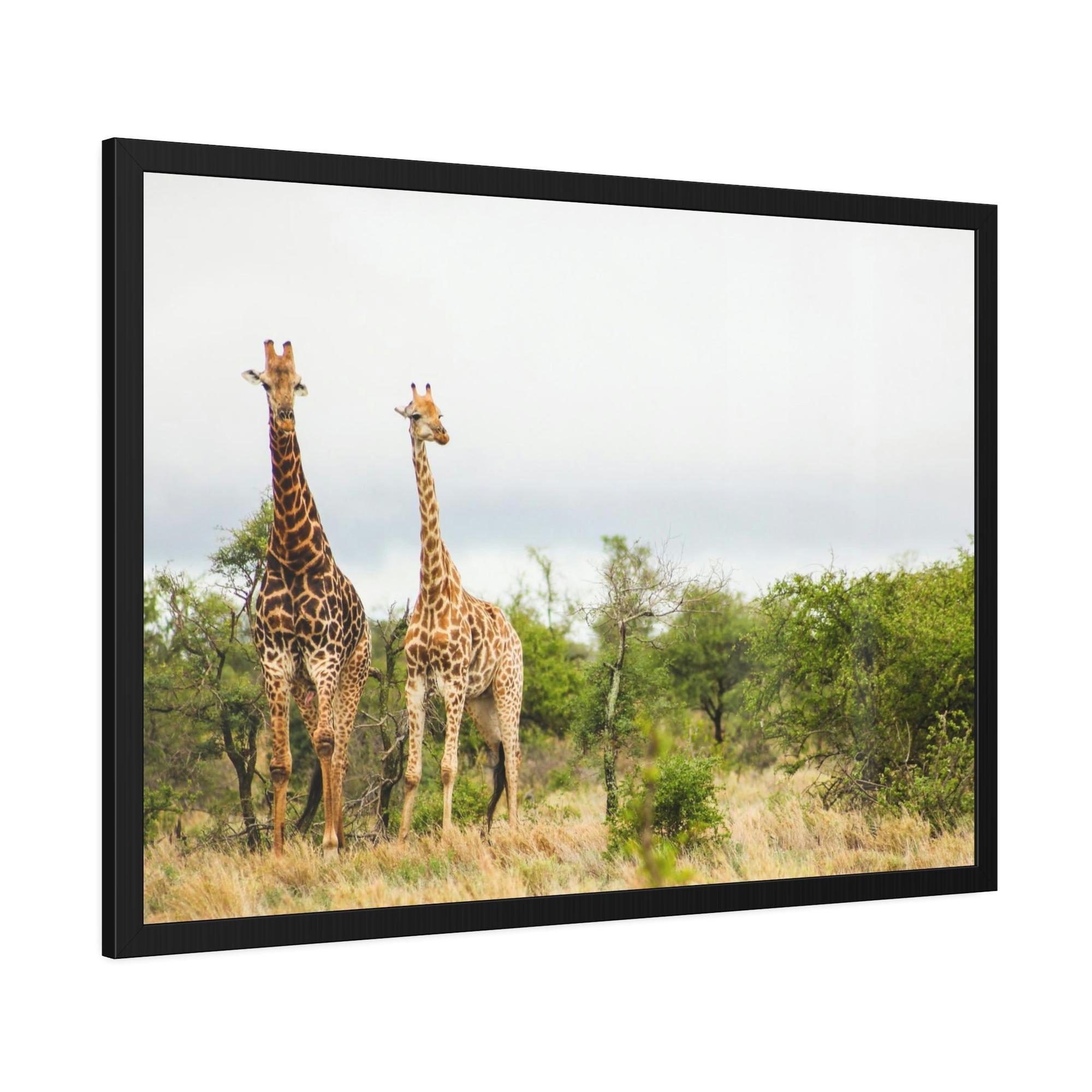 Safari Safari Adventure: An Epic Journey Through the African Wilderness